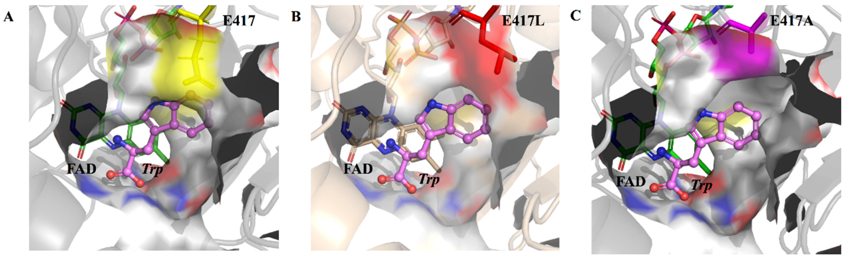 Catalysts 12 00175 g005