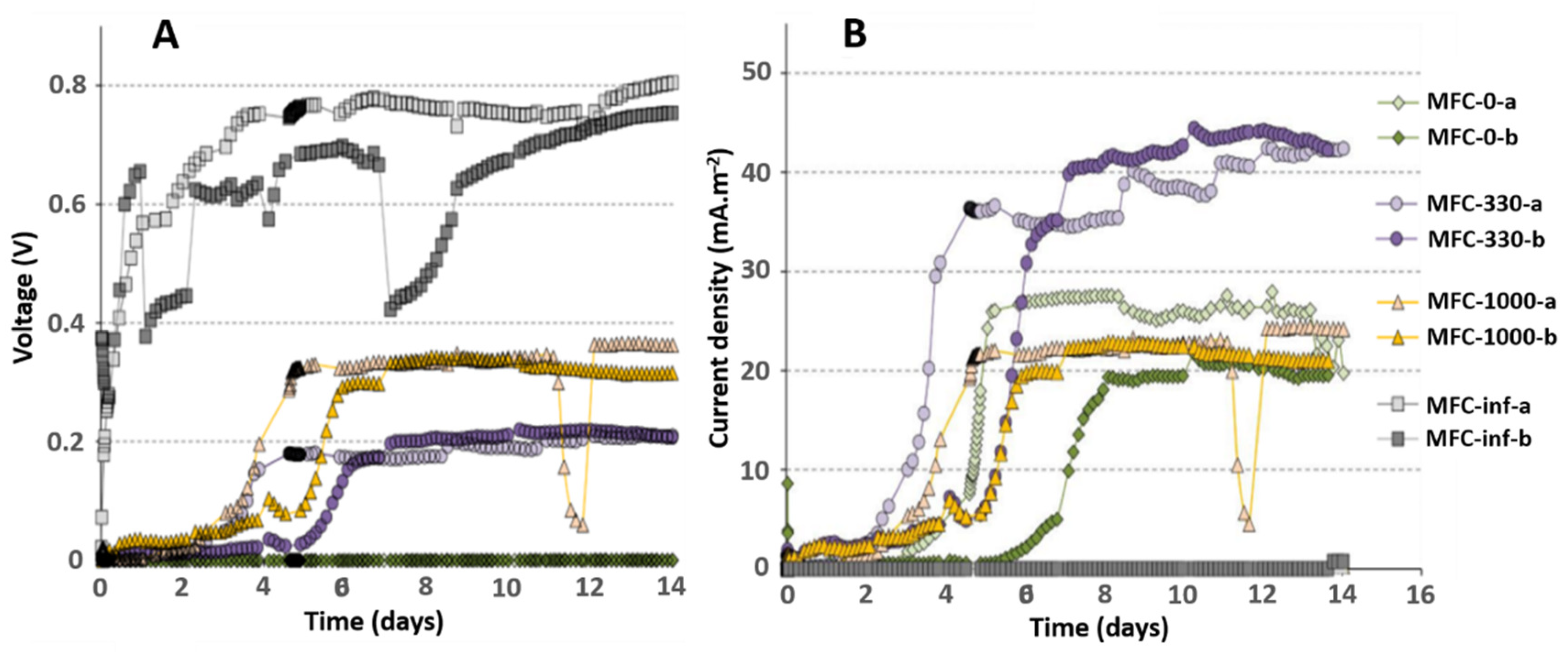 Catalysts 12 00176 g001