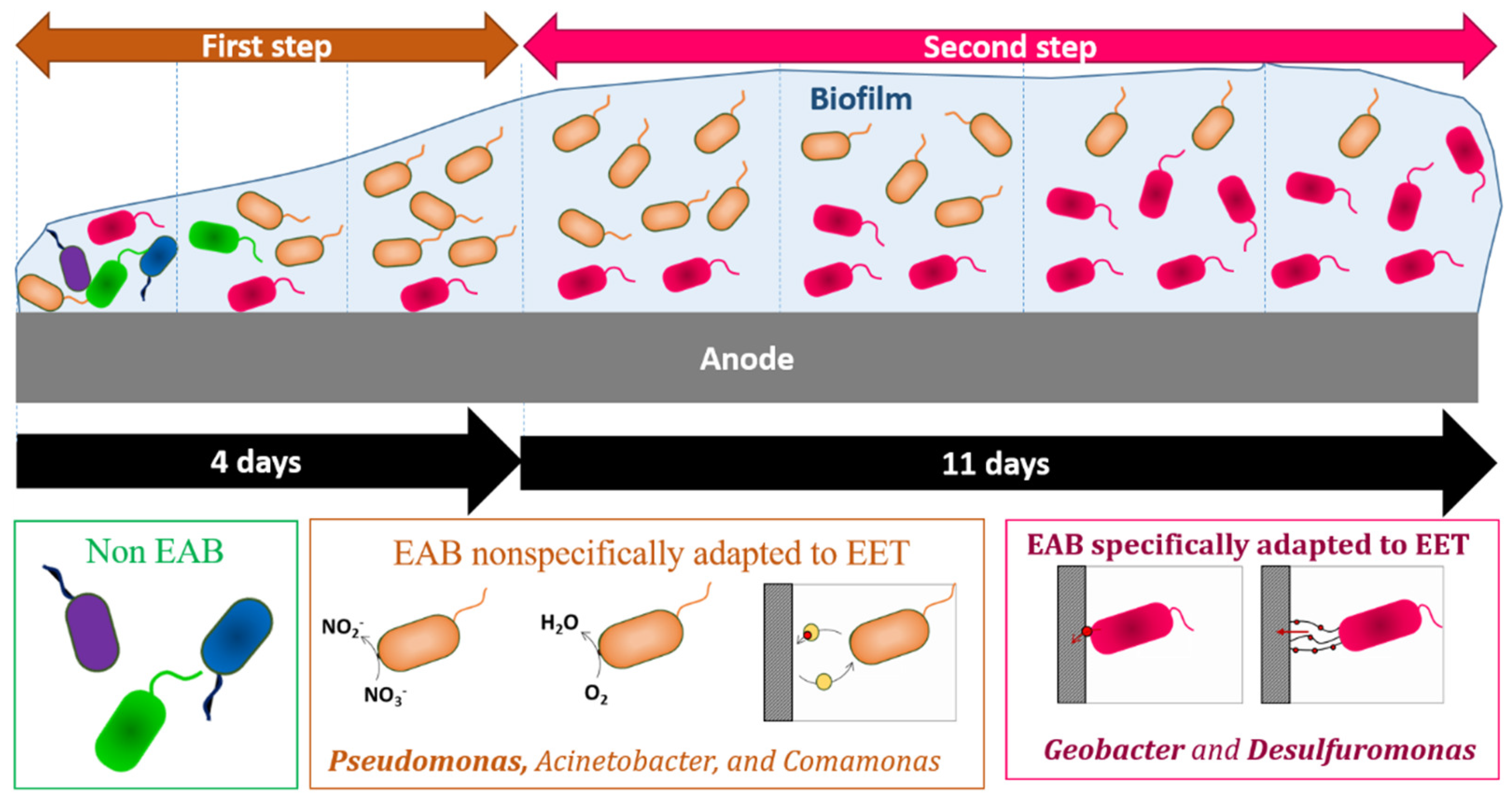 Catalysts 12 00176 g006