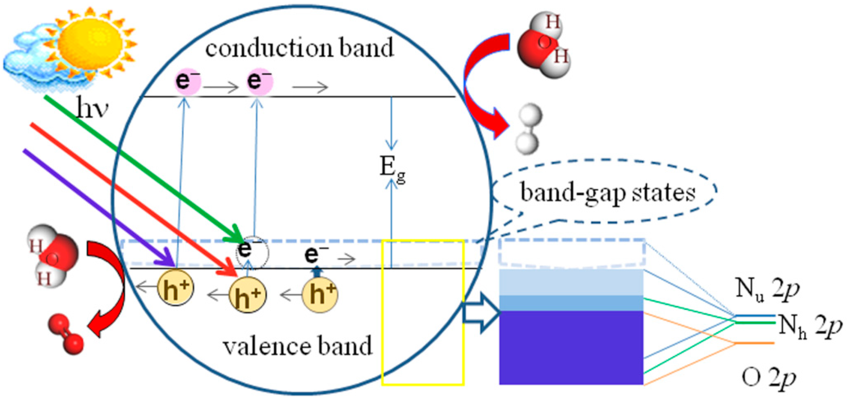 Catalysts 12 00178 g008 550