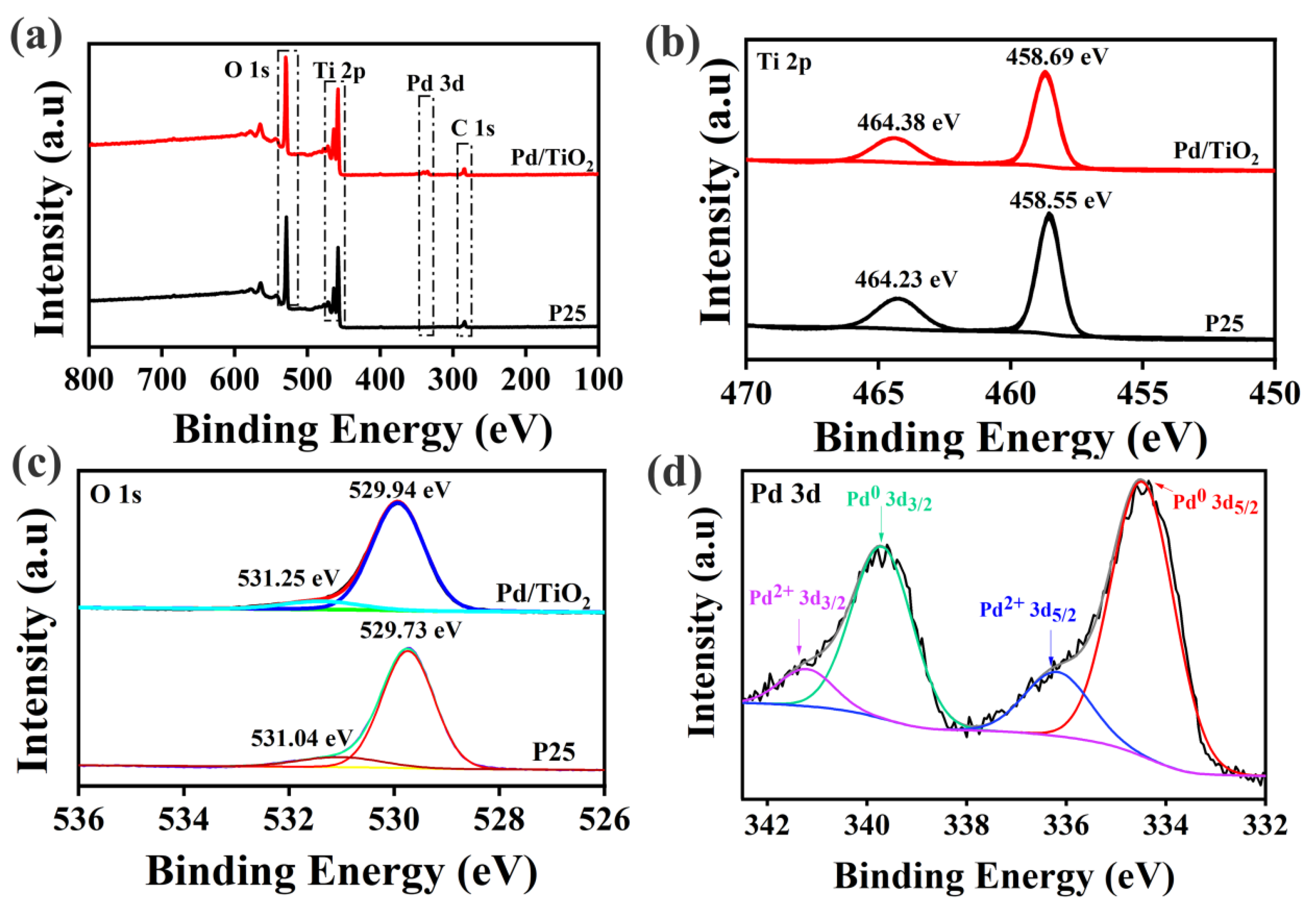 Catalysts 12 00179 g004