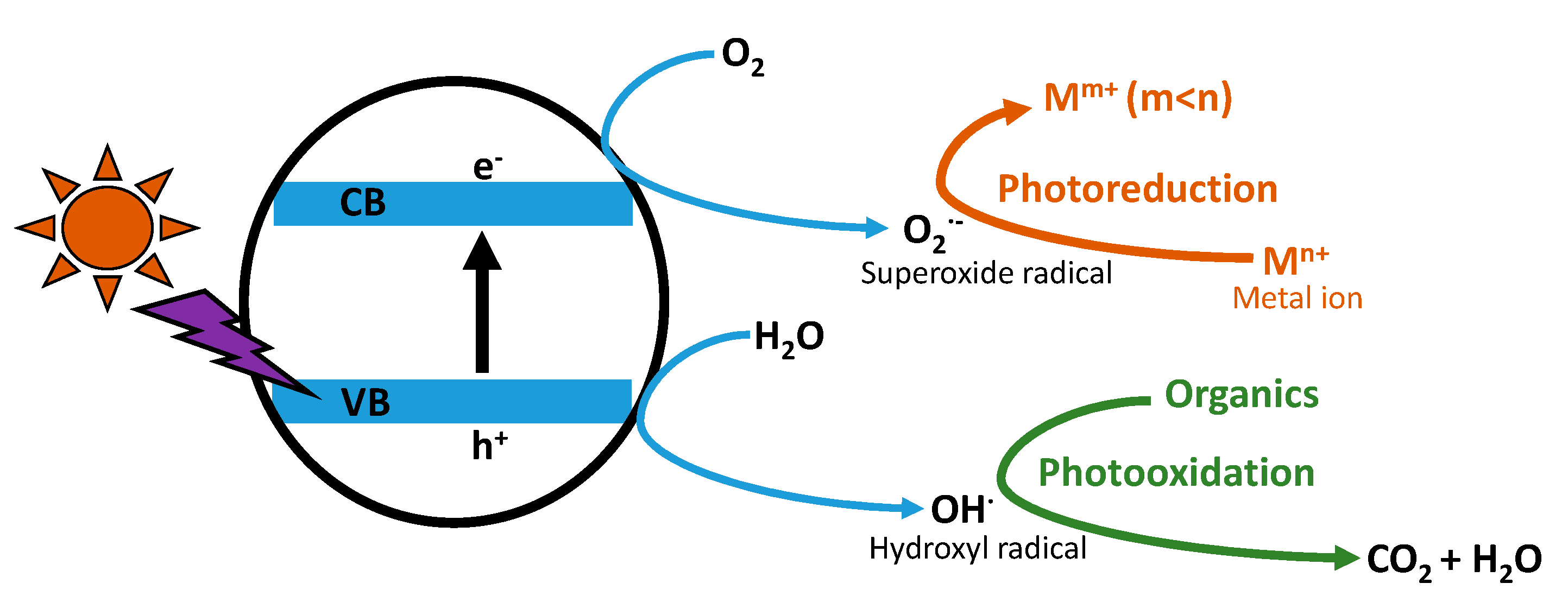 Catalysts 12 00180 g002 550