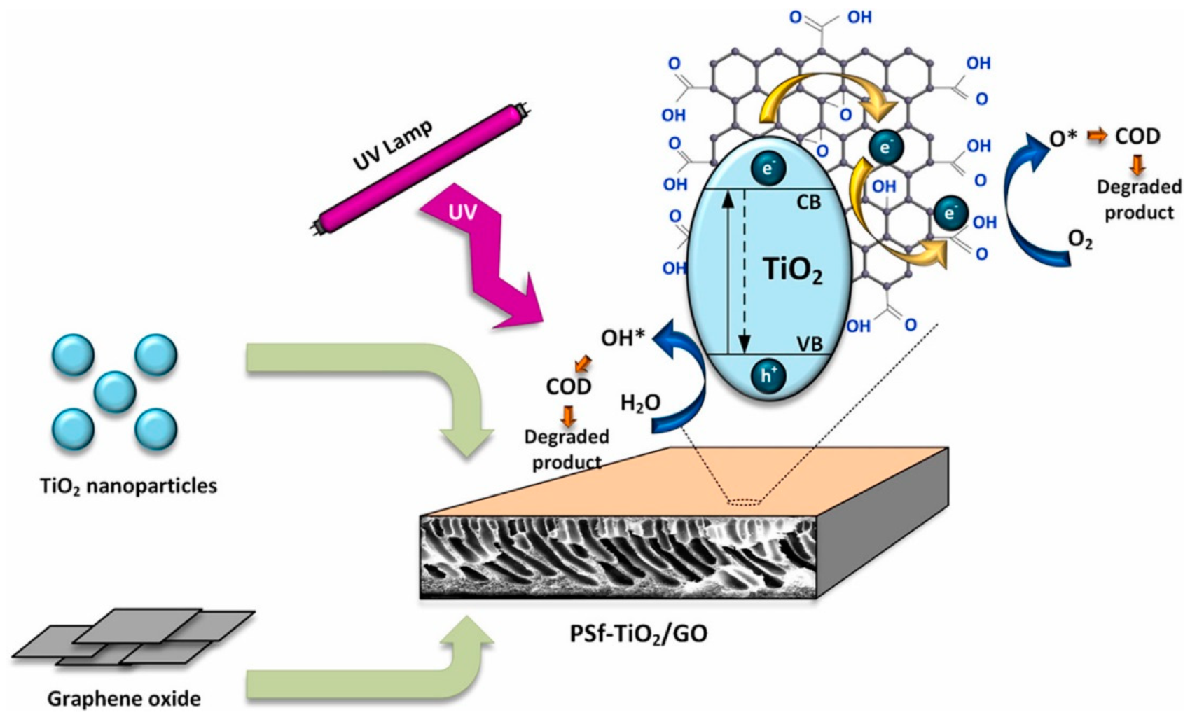 Catalysts 12 00180 g006 550