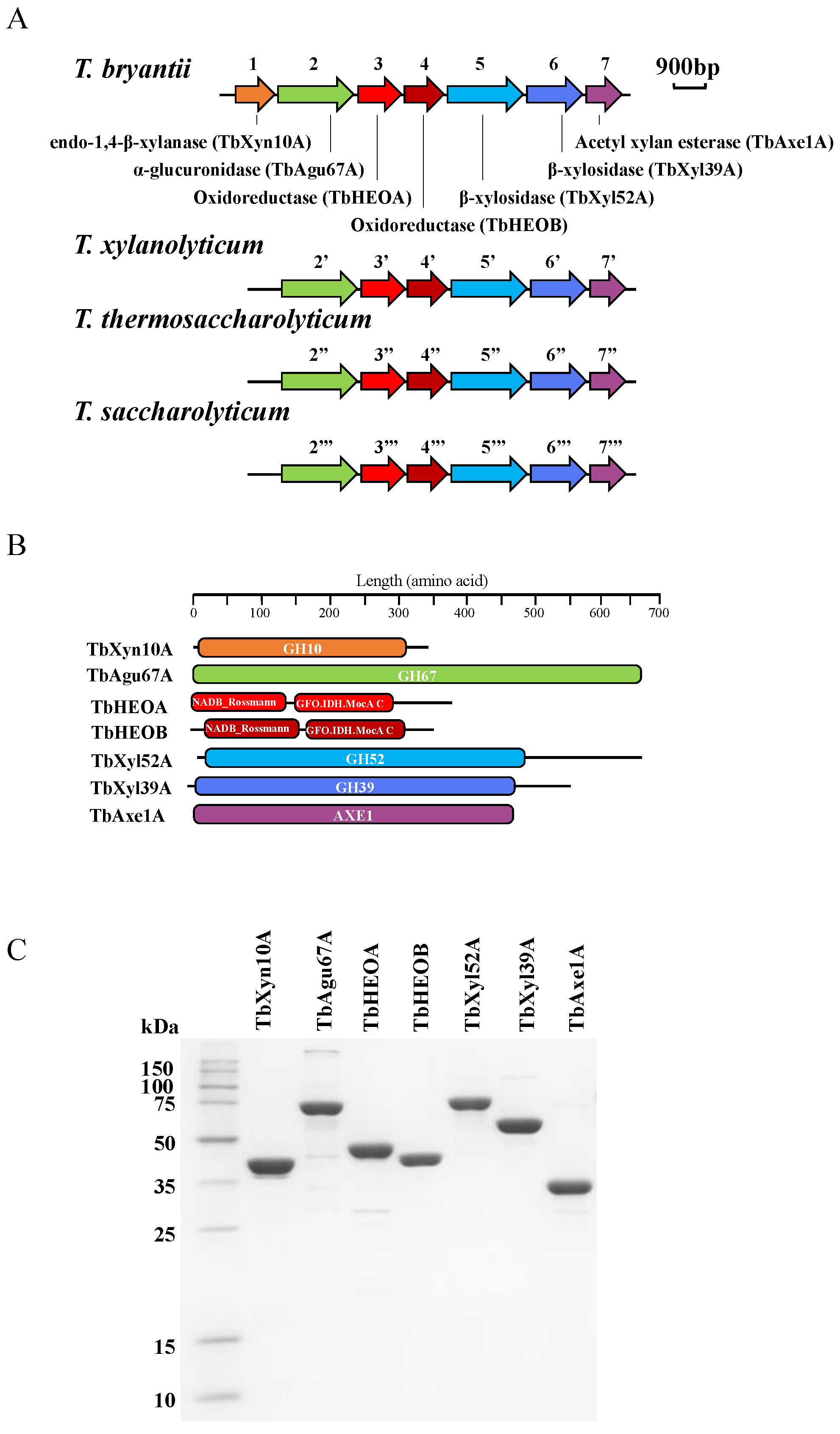 Catalysts 12 00182 g003