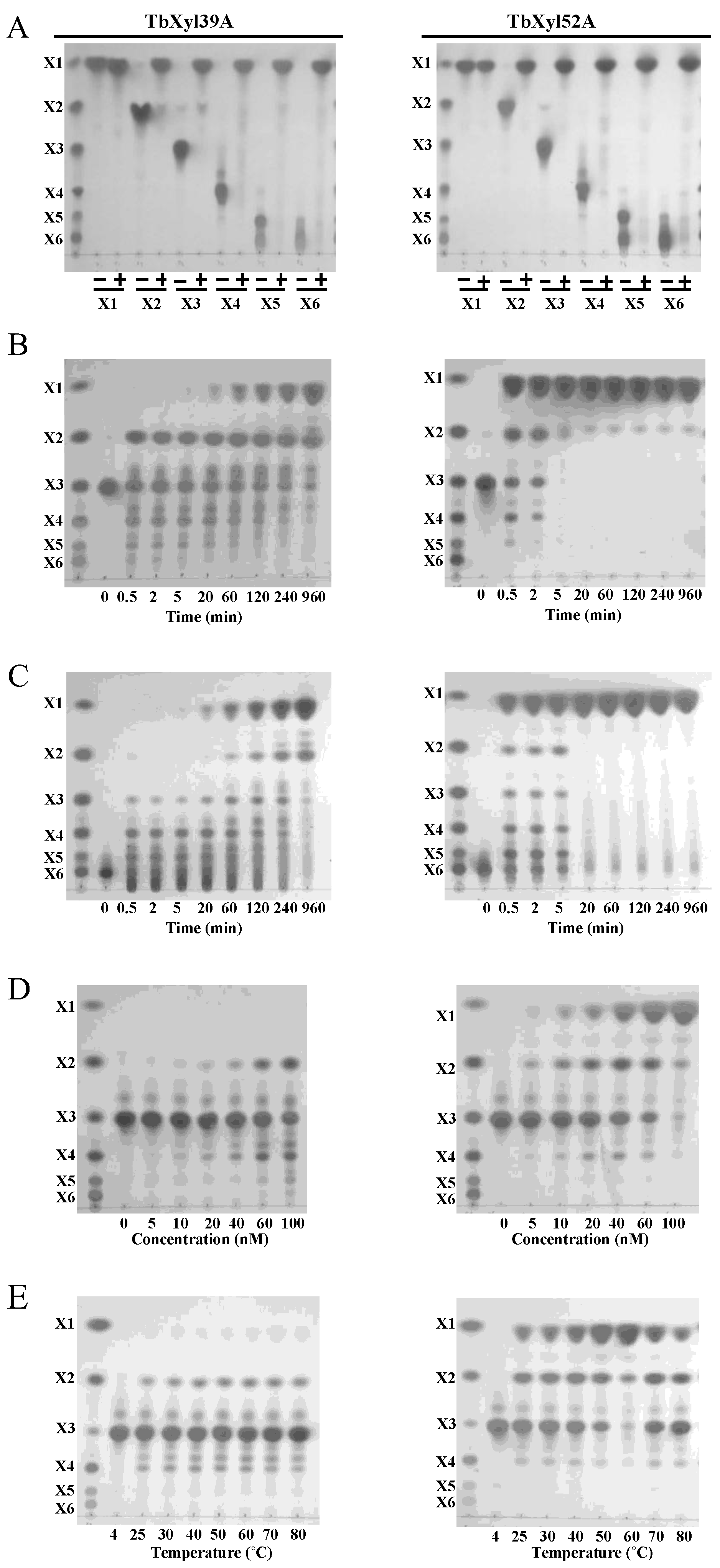Catalysts 12 00182 g004