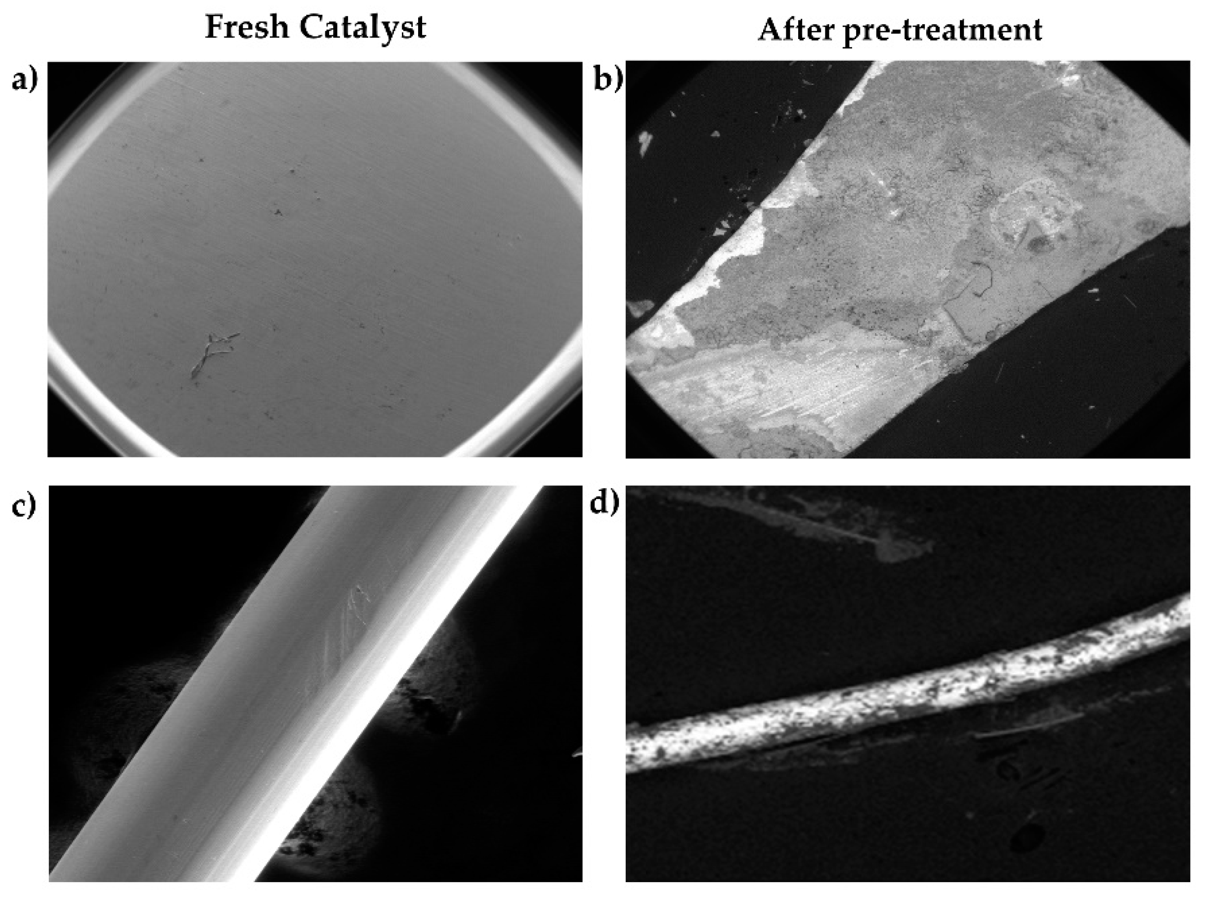 Catalysts 12 00194 g005 550