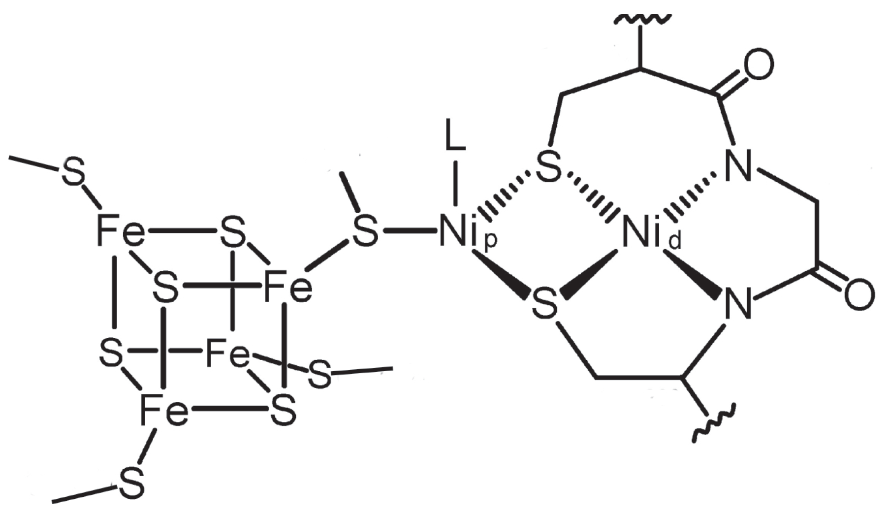 Catalysts 12 00195 g001