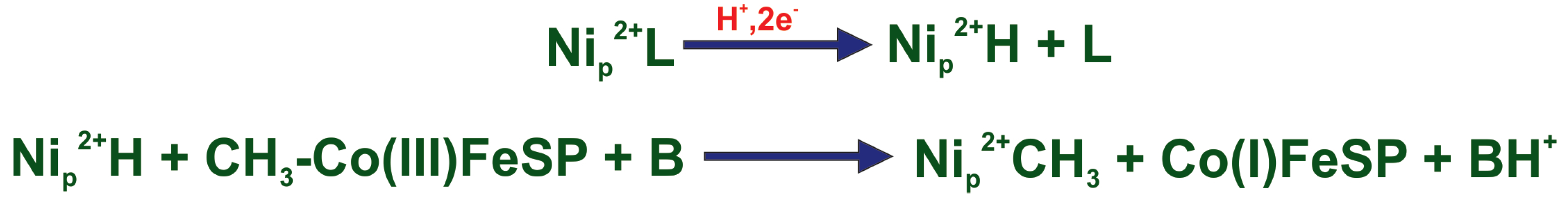 Catalysts 12 00195 g009