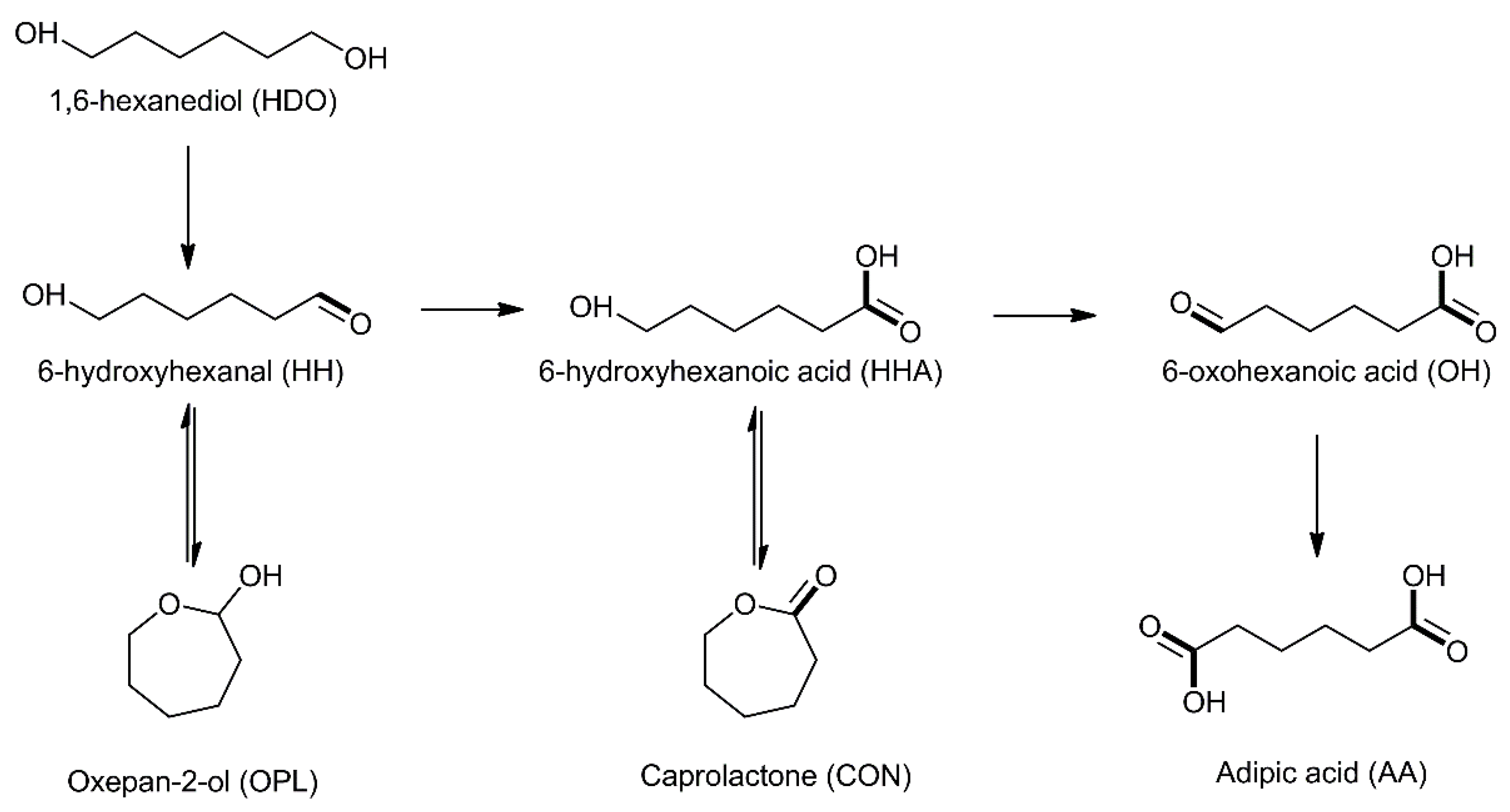 Catalysts 12 00196 sch001 Catalysts 12 00196 sch001