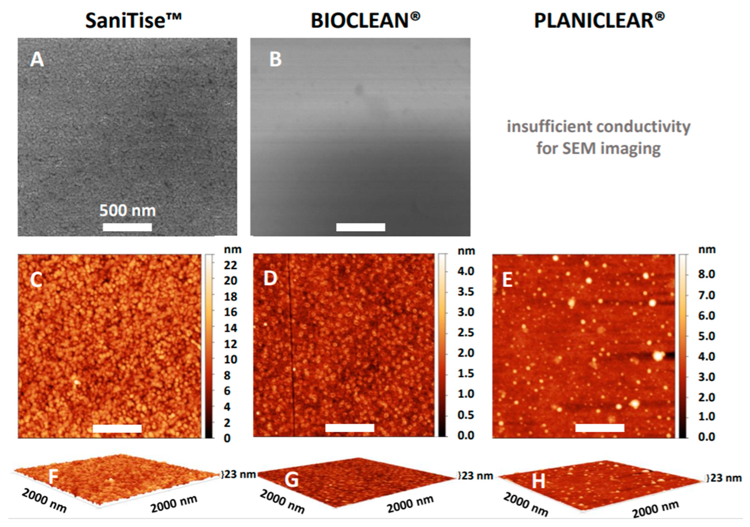 Catalysts 12 00197 g001