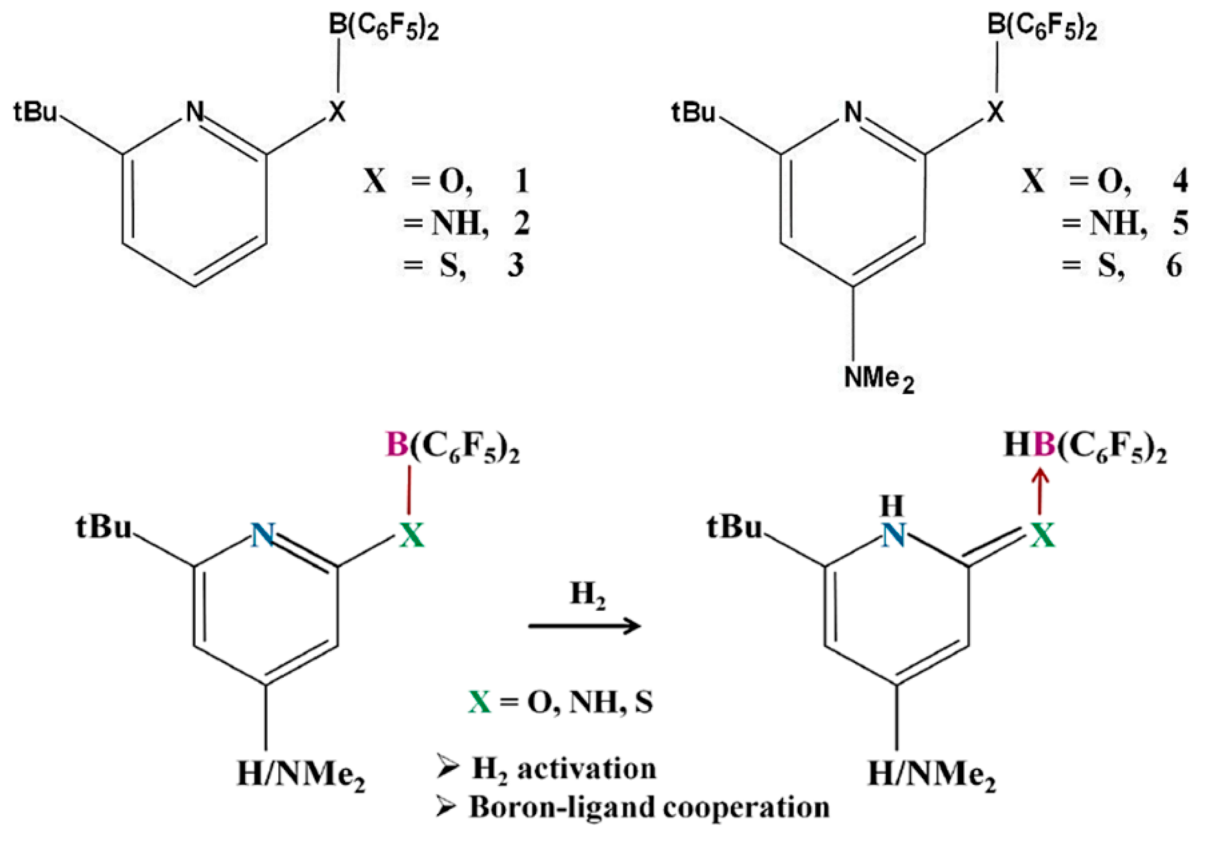 Catalysts 12 00201 g004 550