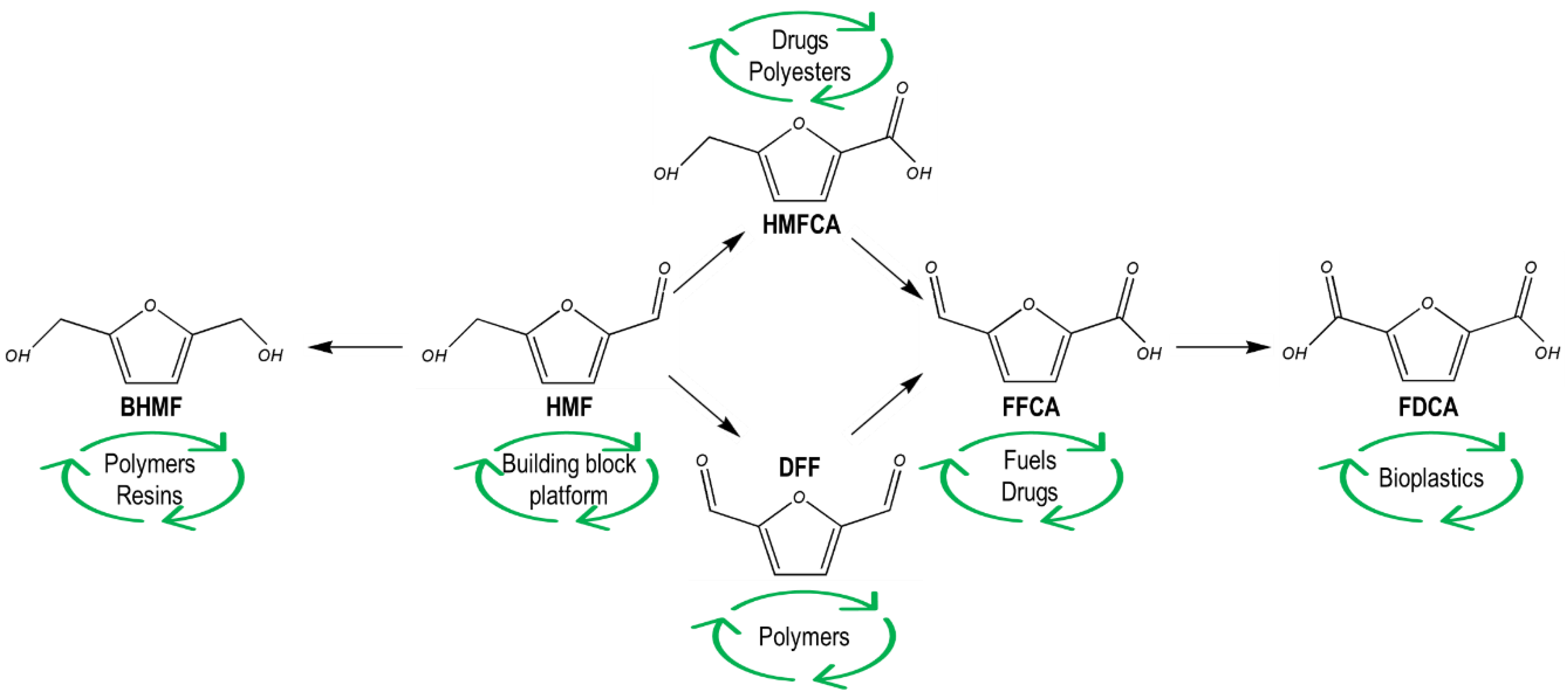Catalysts 12 00202 g001