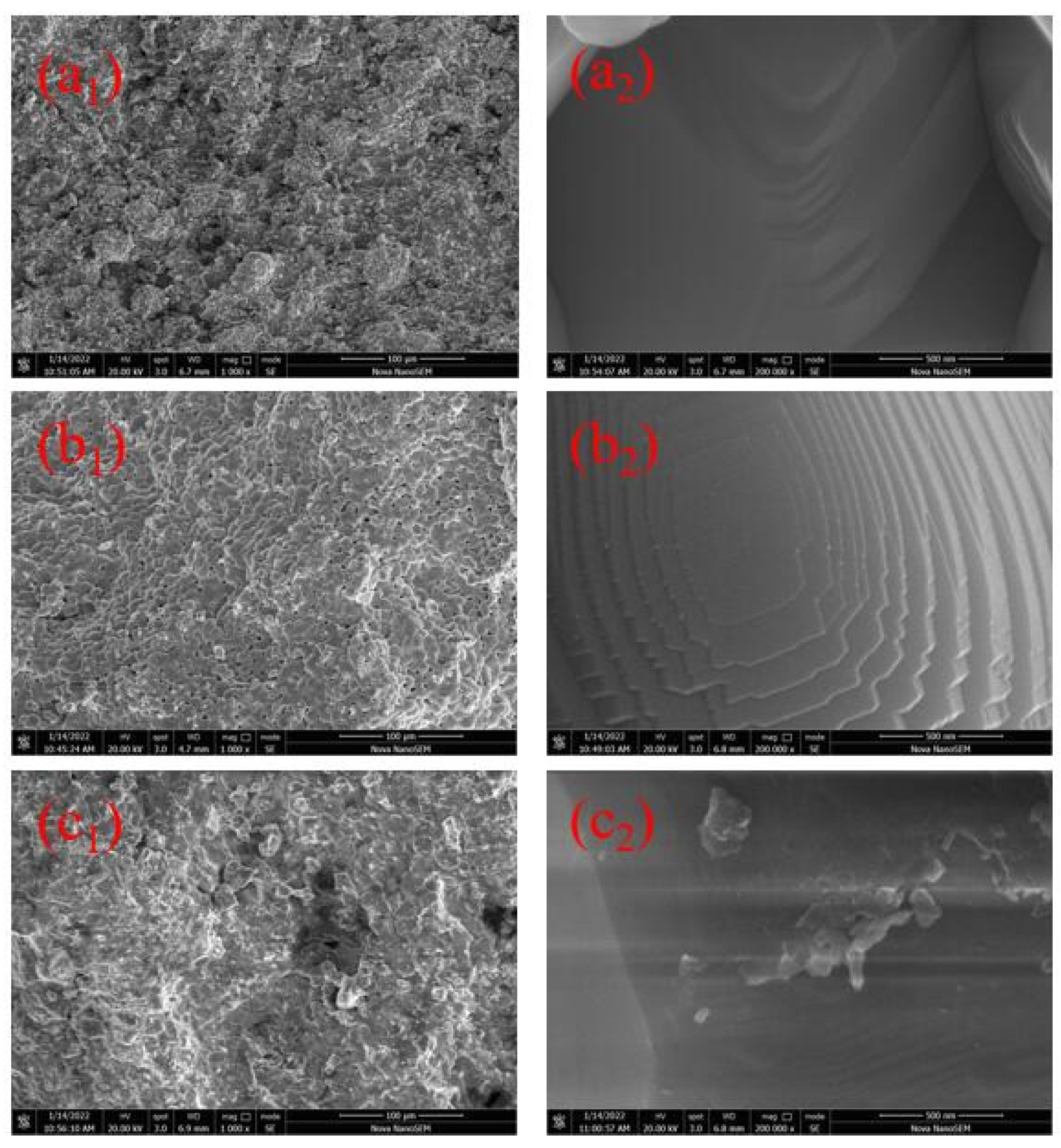 Catalysts 12 00203 g011