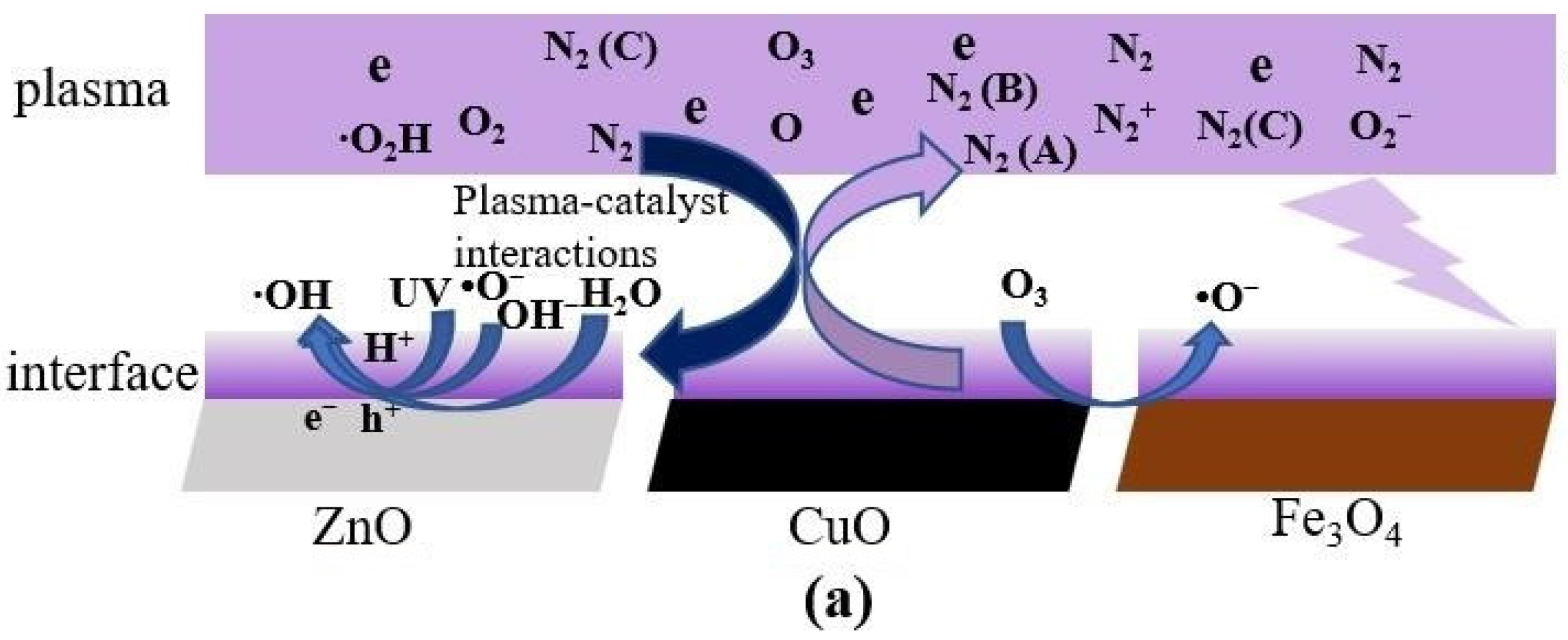 Catalysts 12 00203 g012a