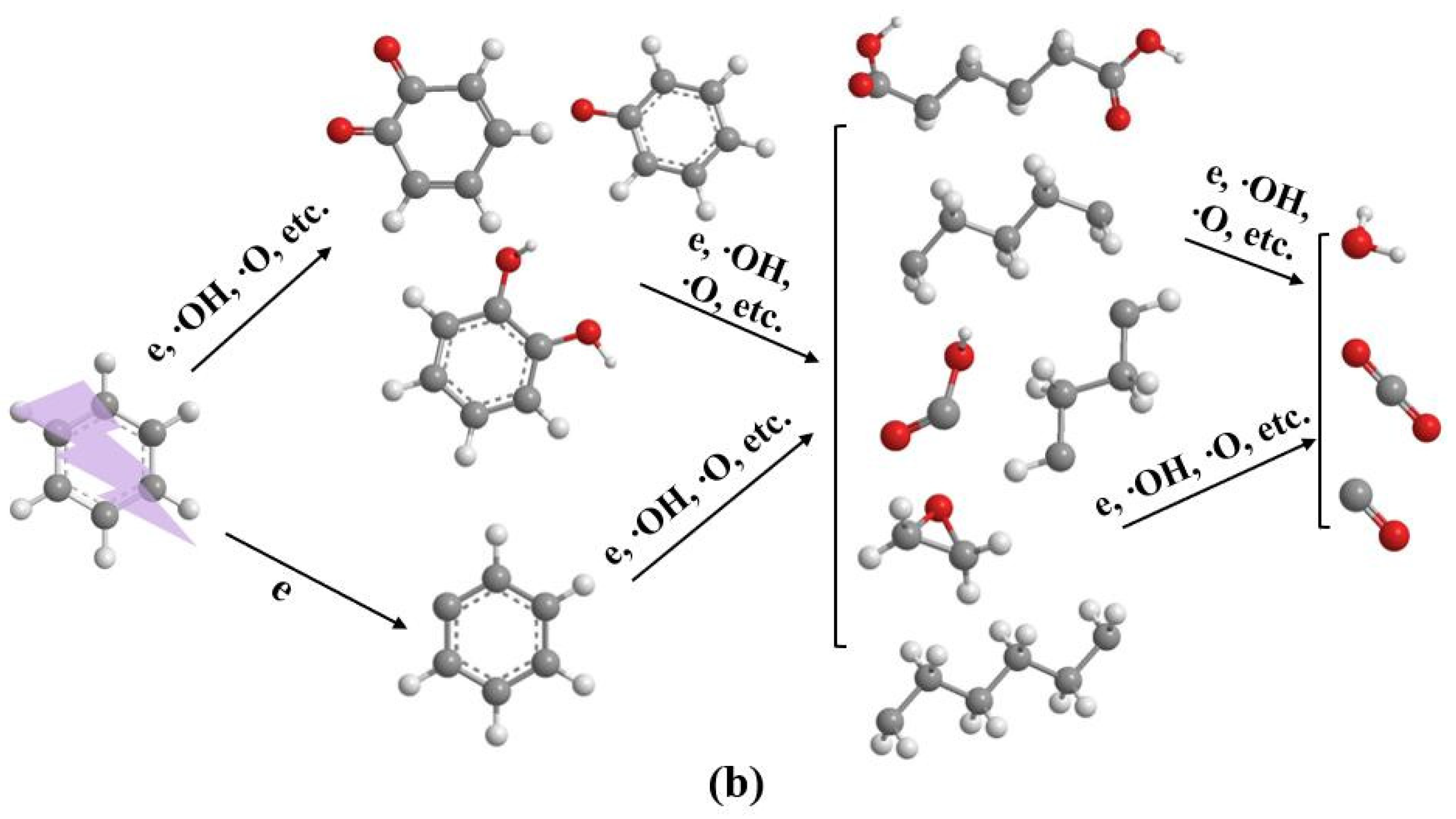 Catalysts 12 00203 g012b