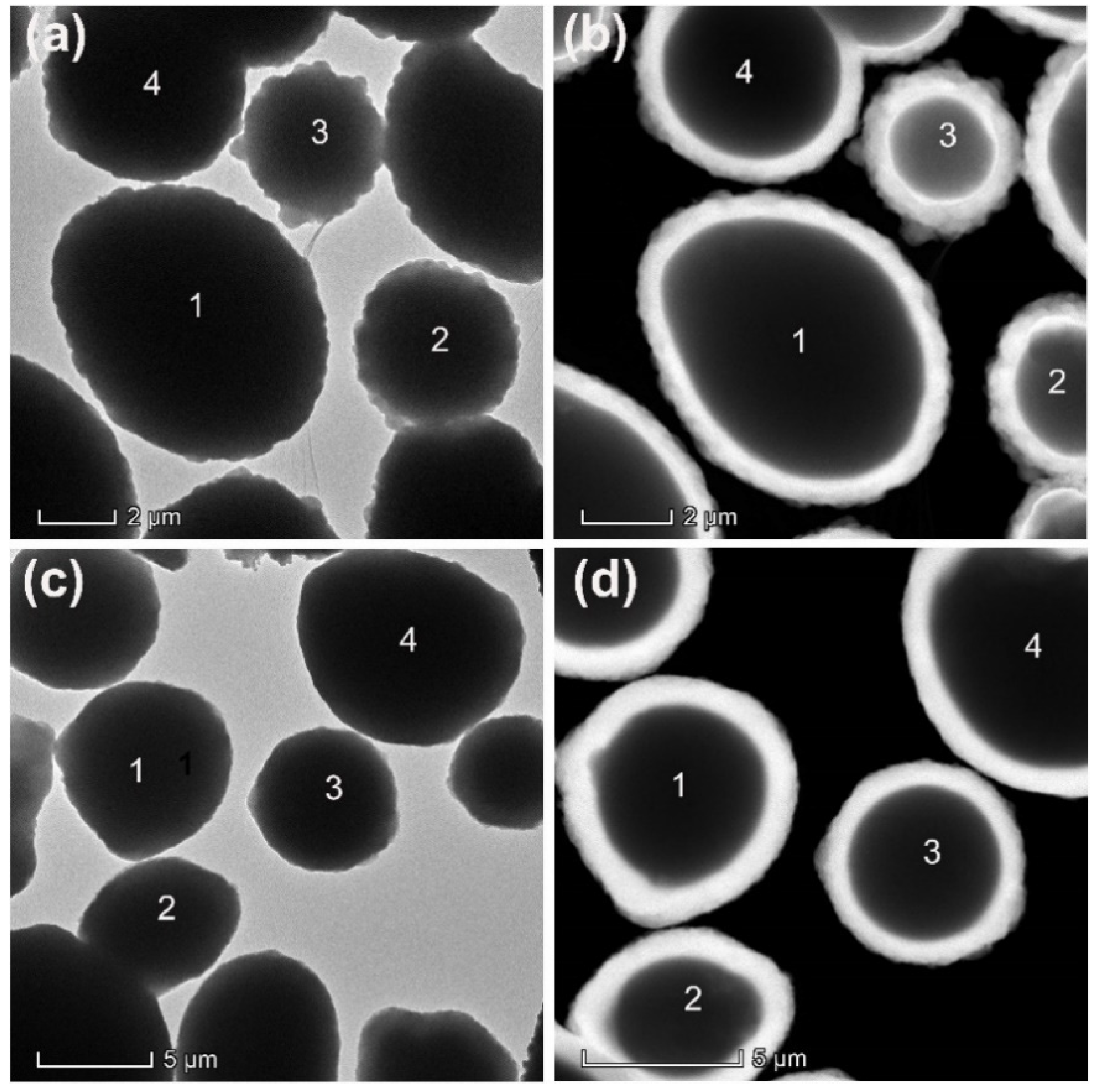 Catalysts 12 00205 g003 550