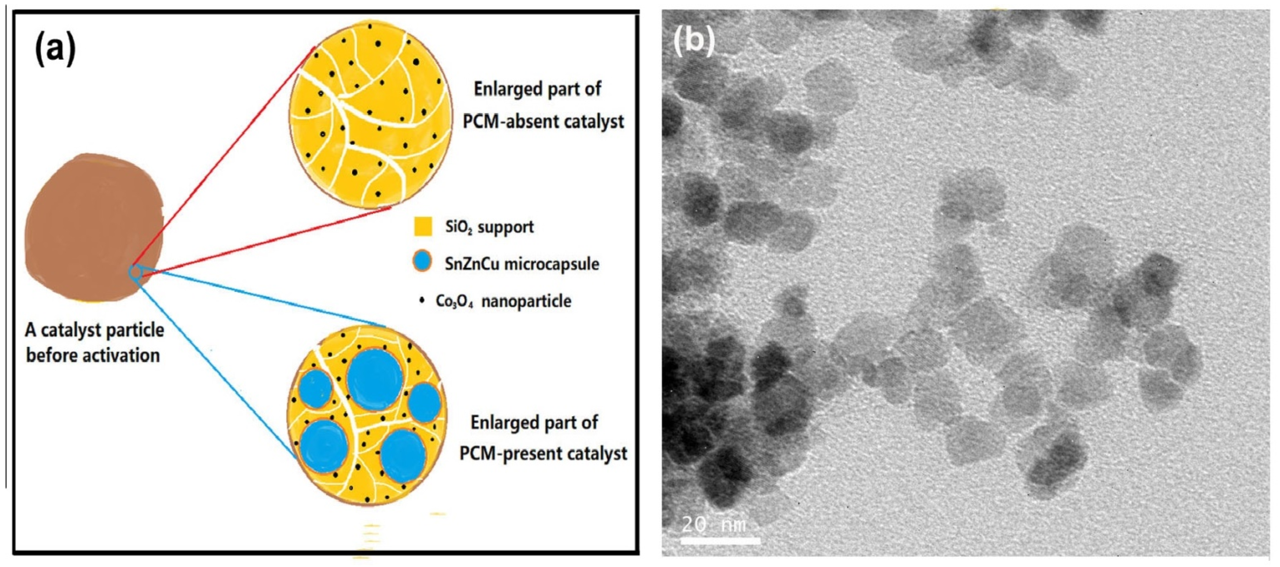 Catalysts 12 00205 g012 550