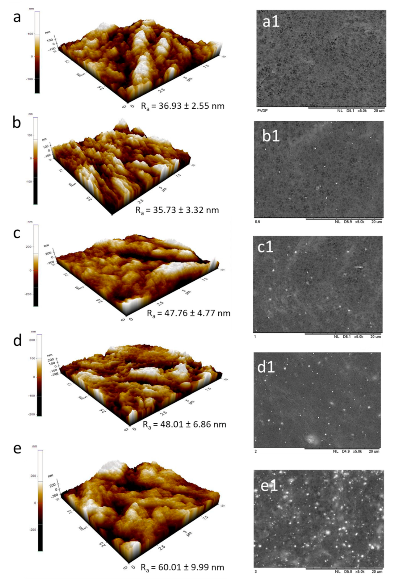 Catalysts 12 00209 g002 Catalysts 12 00209 g002