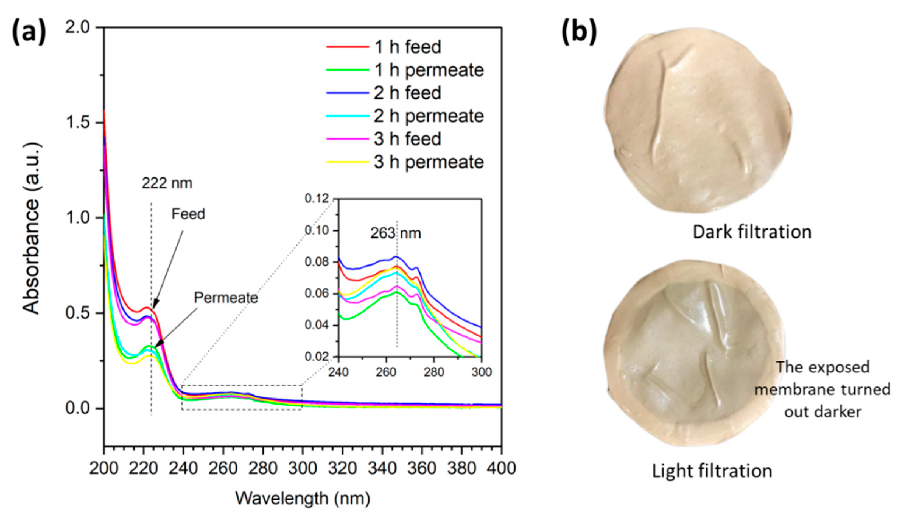 Catalysts 12 00209 g008 Catalysts 12 00209 g008