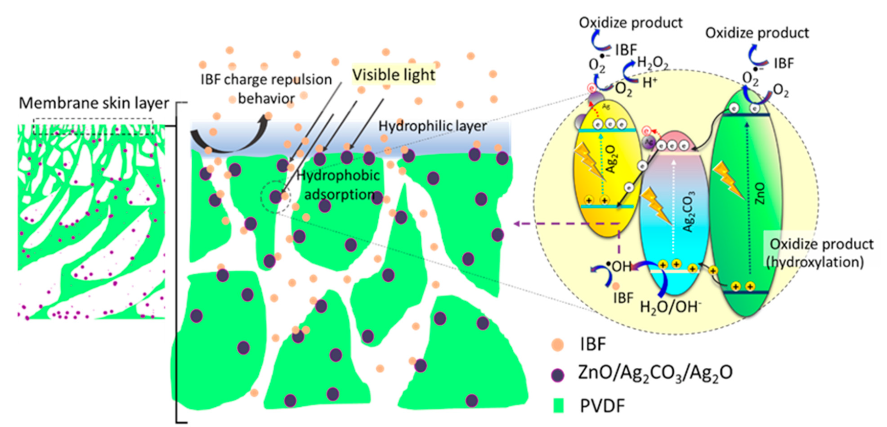 Catalysts 12 00209 g010 Catalysts 12 00209 g010