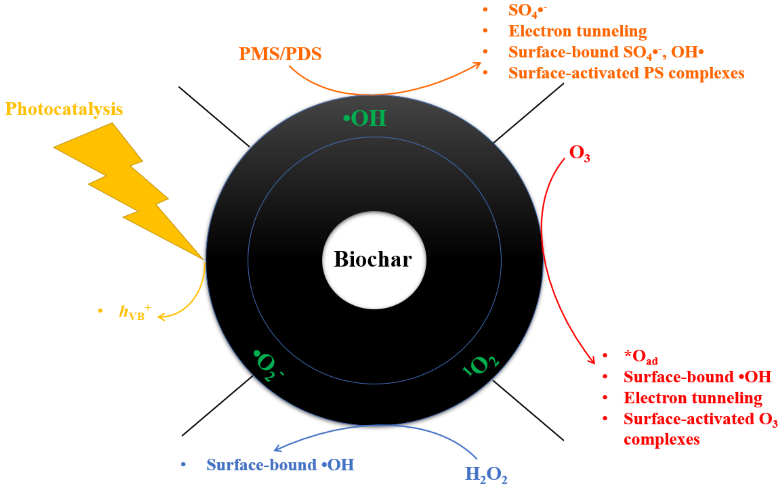 Catalysts 12 00210 g004
