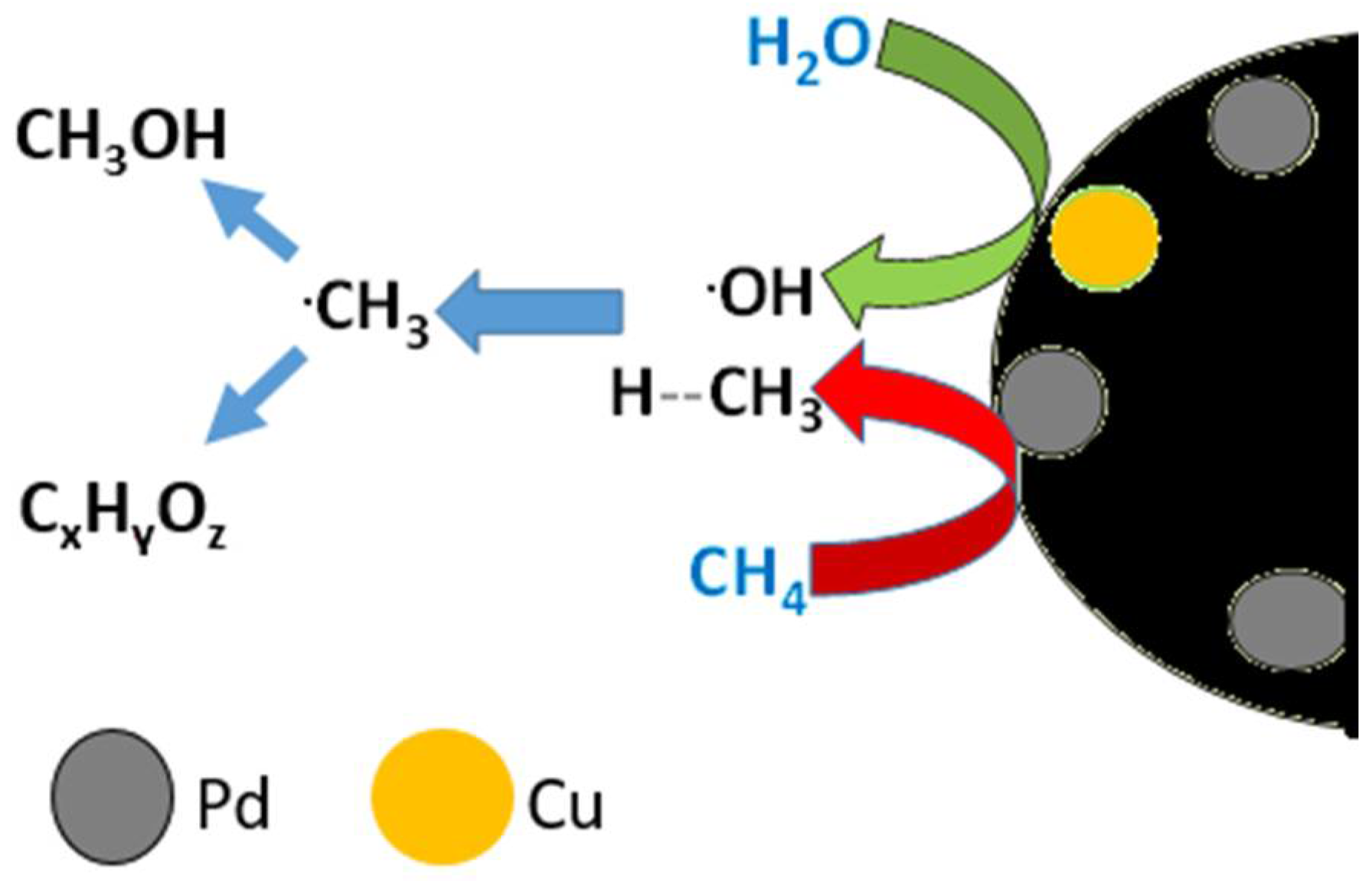 Catalysts 12 00217 g004