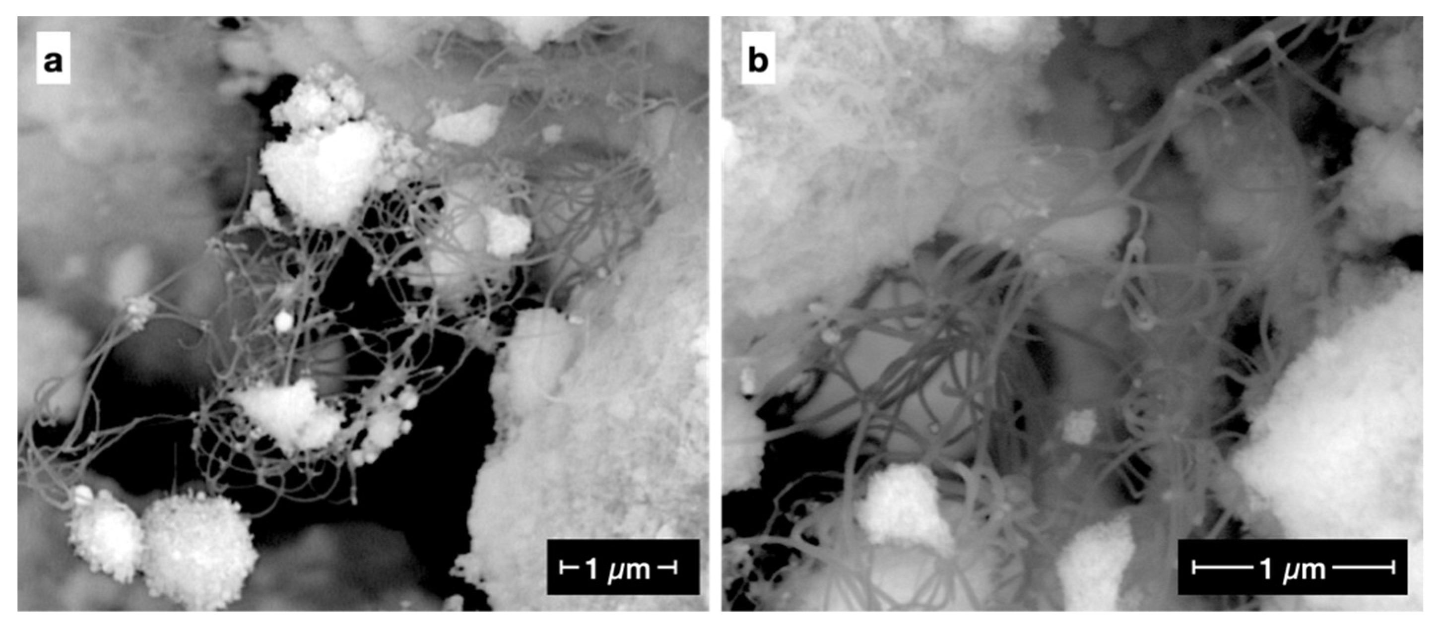 Catalysts 12 00219 g004 550