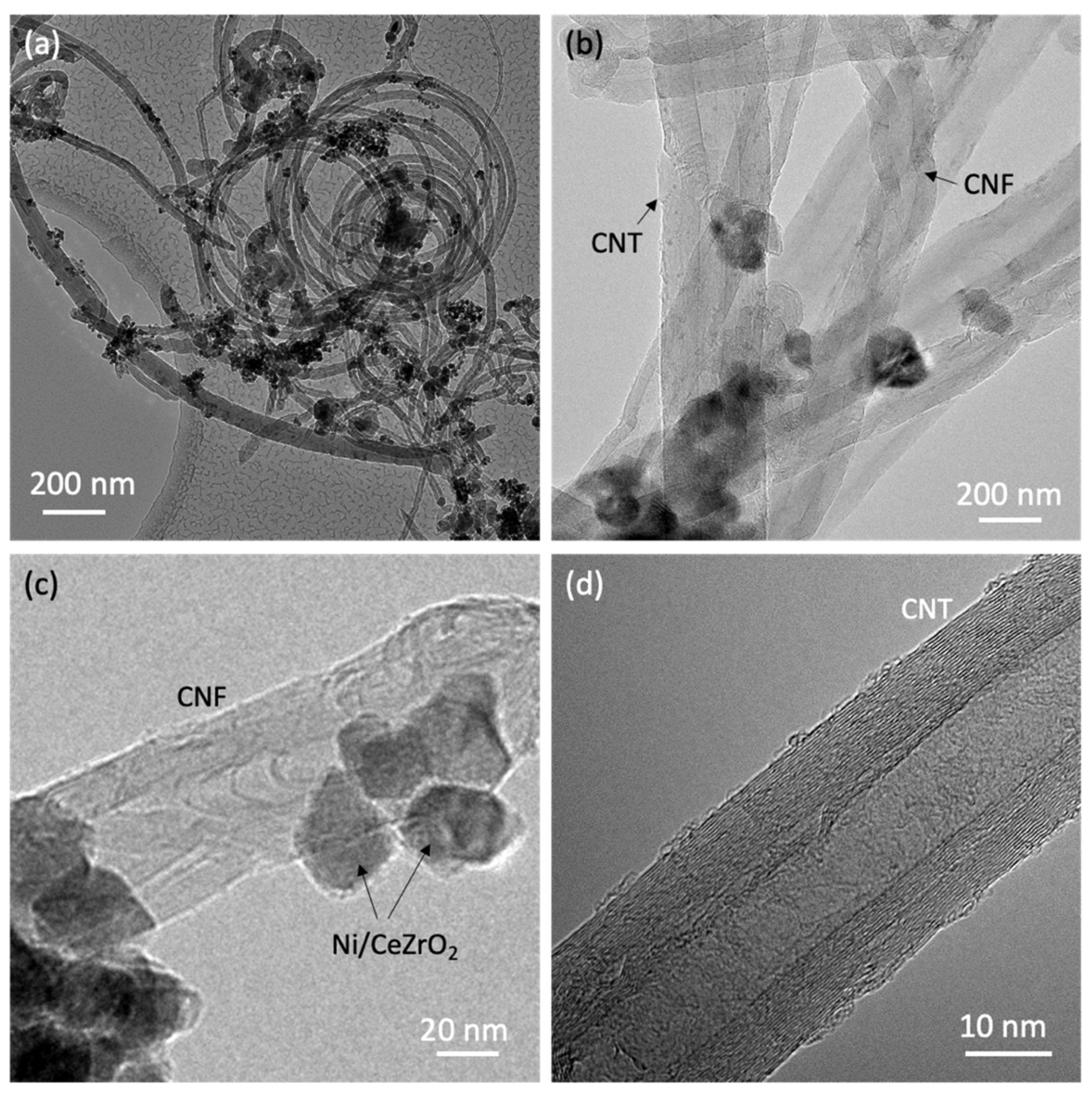 Catalysts 12 00219 g005 550