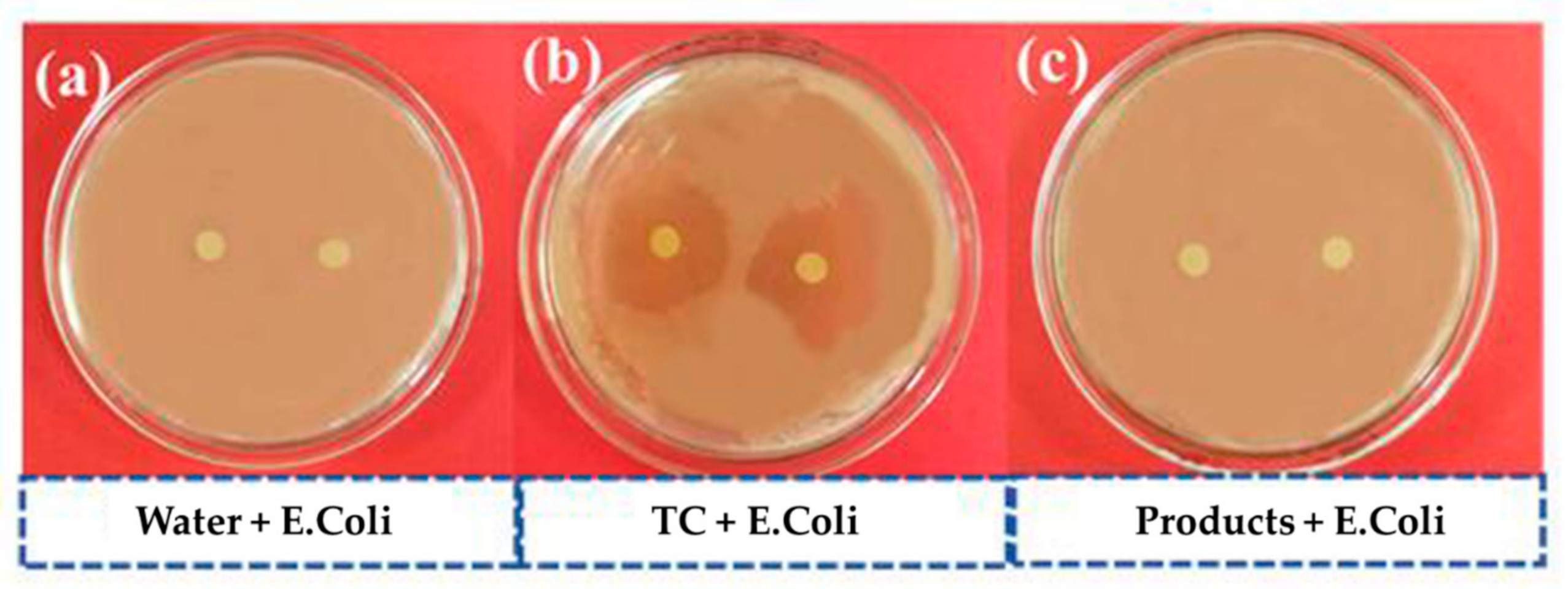 Catalysts 12 00221 g006