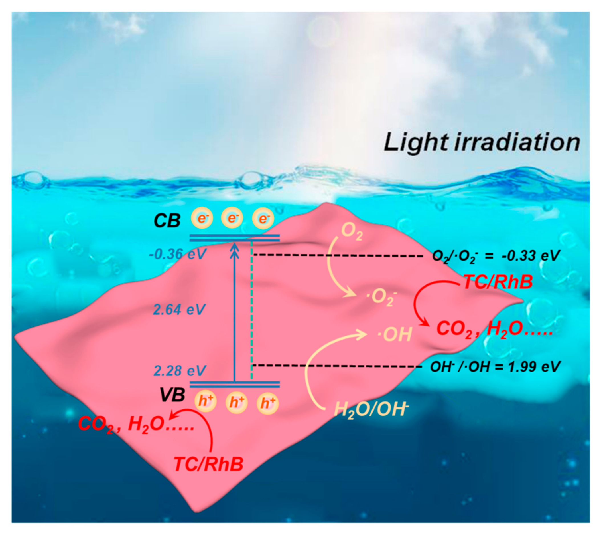 Catalysts 12 00221 g008