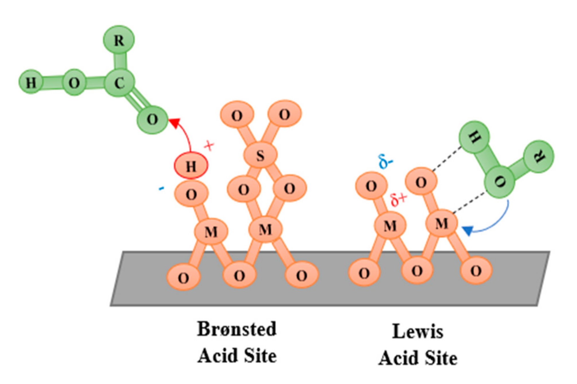 Catalysts 12 00223 g003