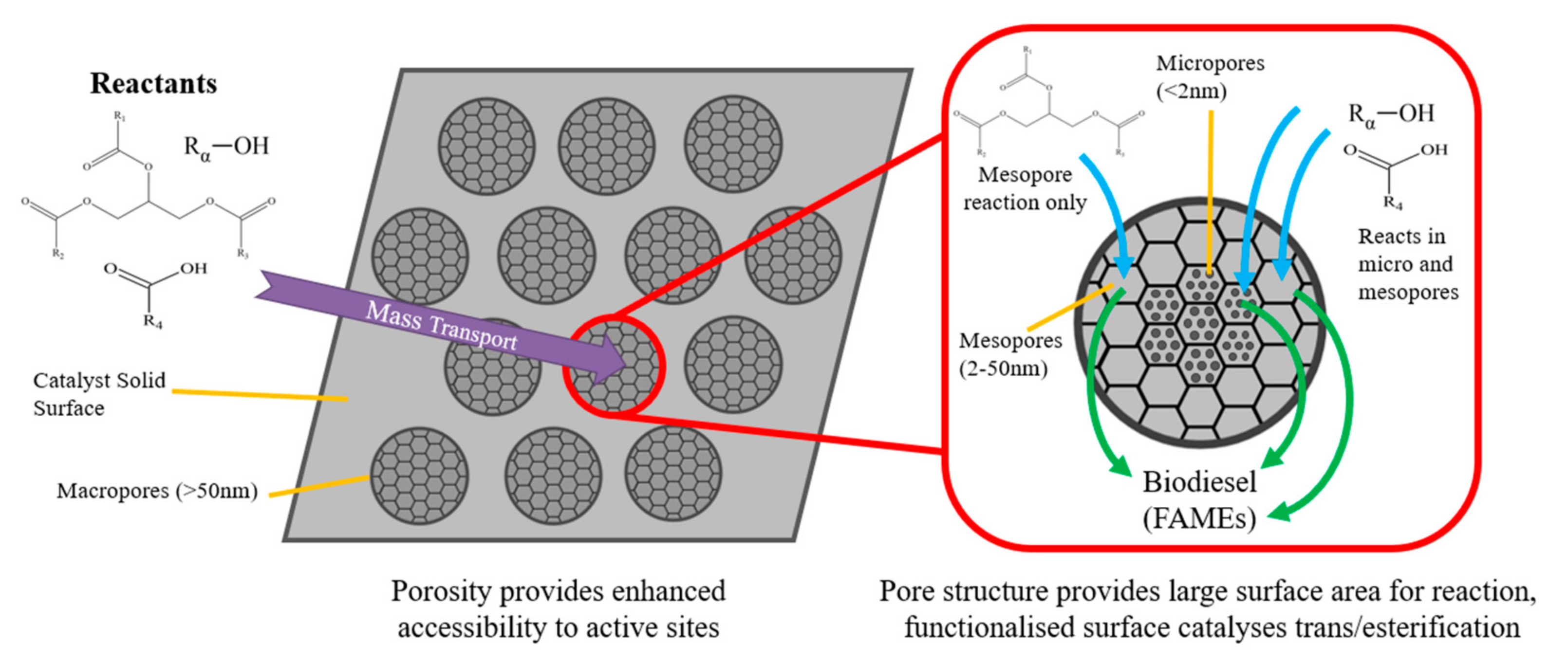 Catalysts 12 00223 g011