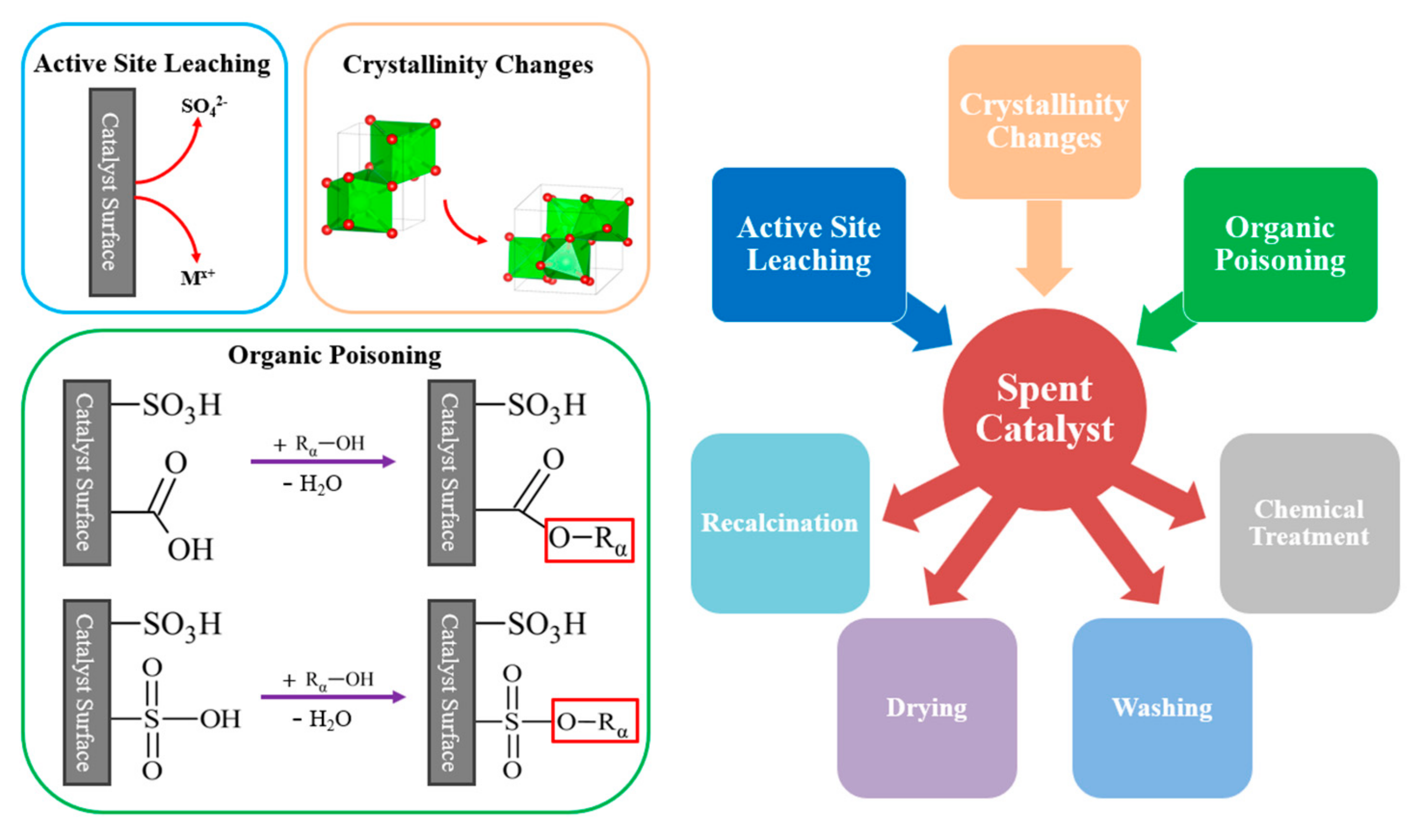 Catalysts 12 00223 g013