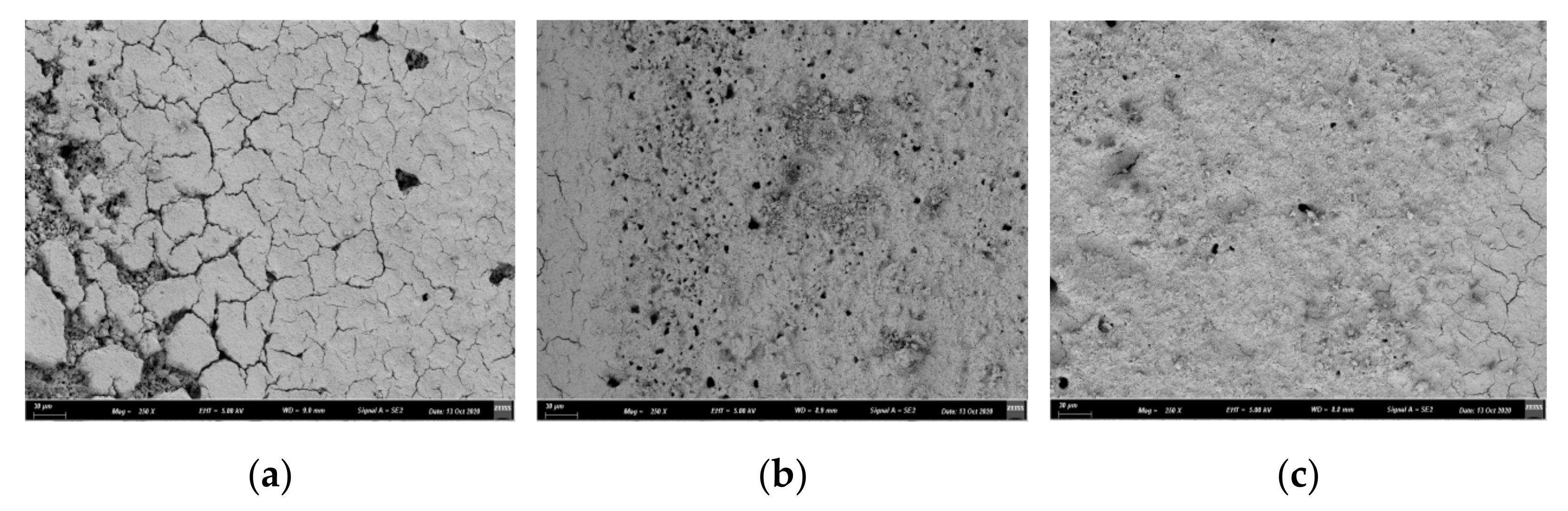 Catalysts 12 00225 g010