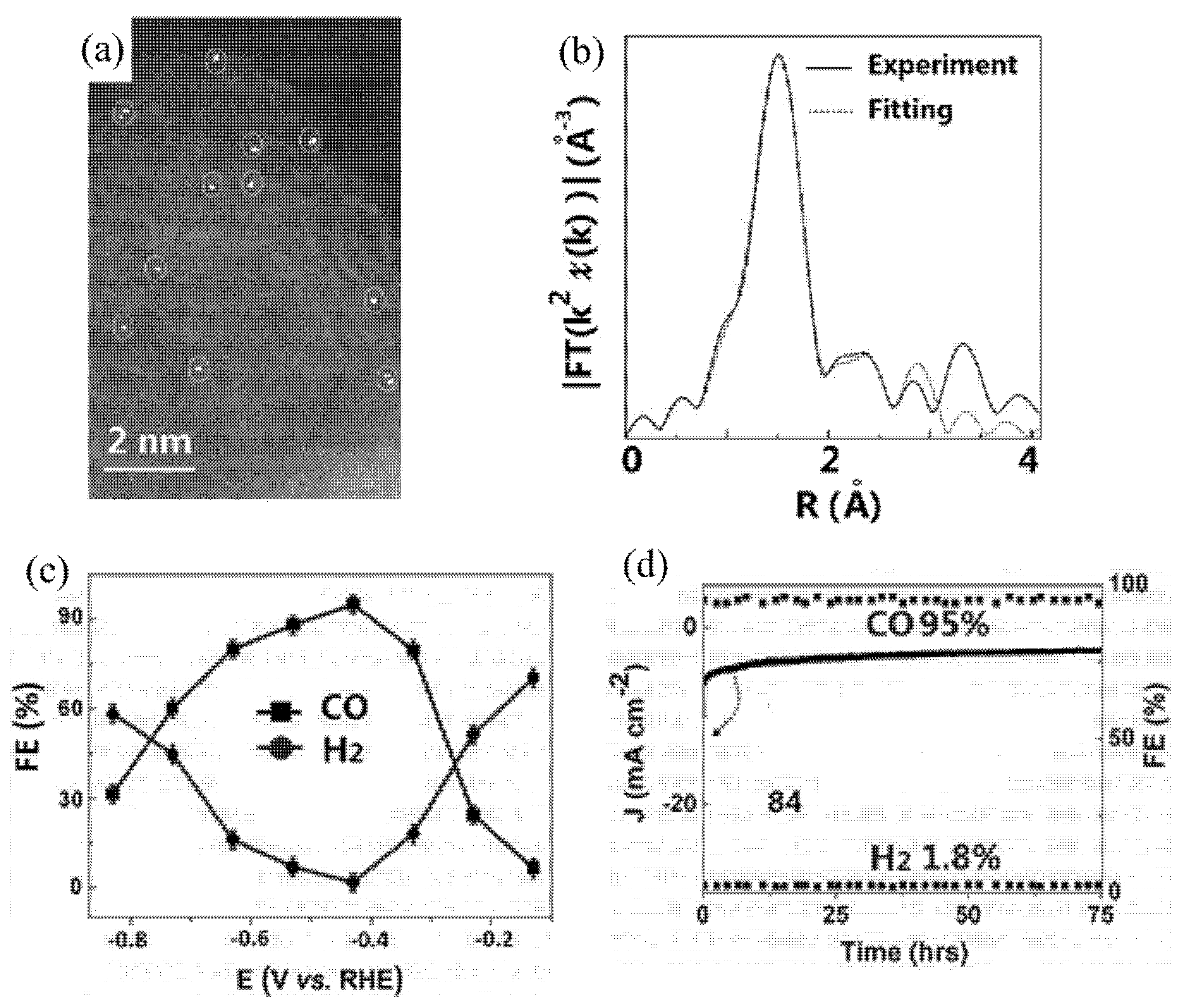 Catalysts 12 00228 g010