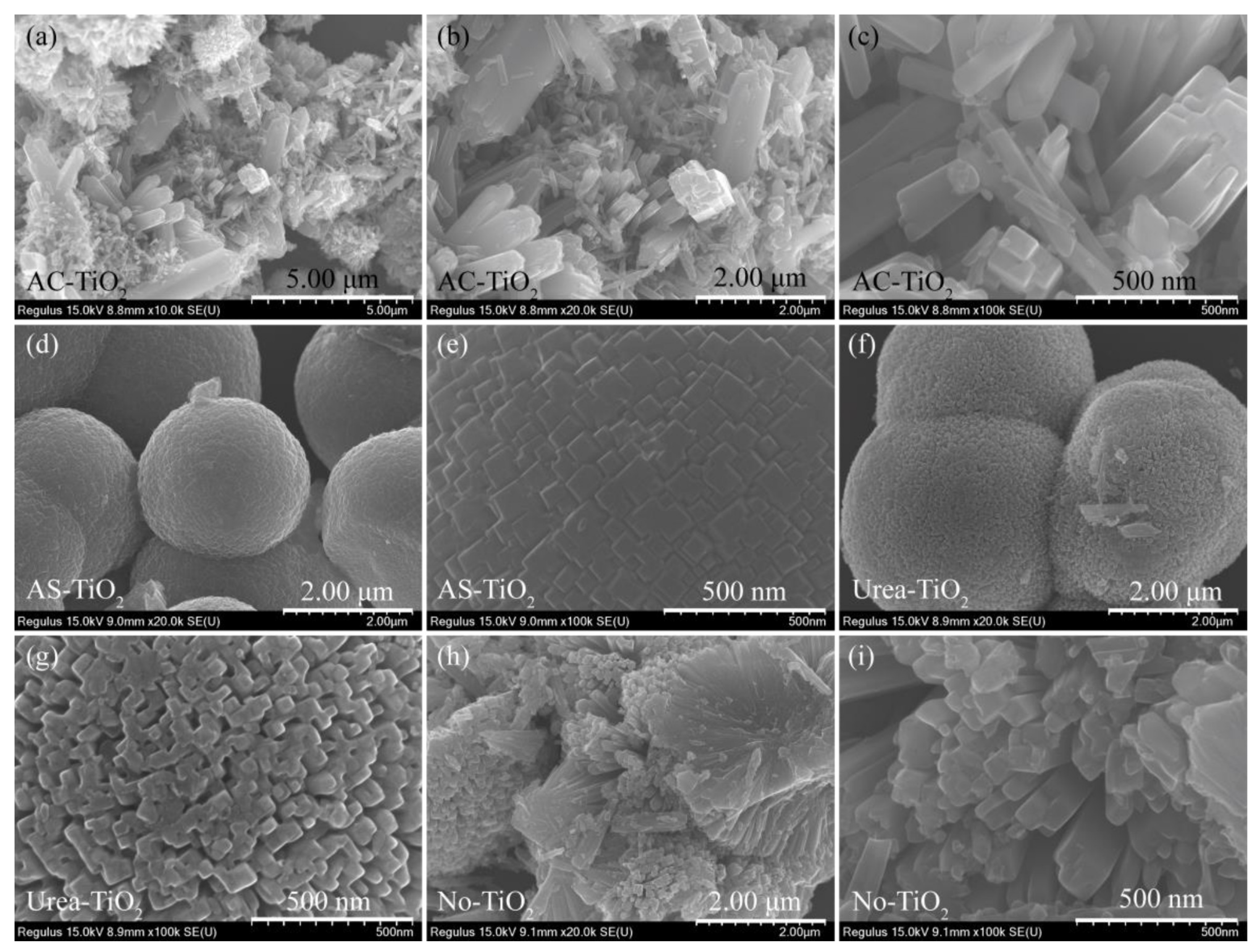 Catalysts 12 00232 g002