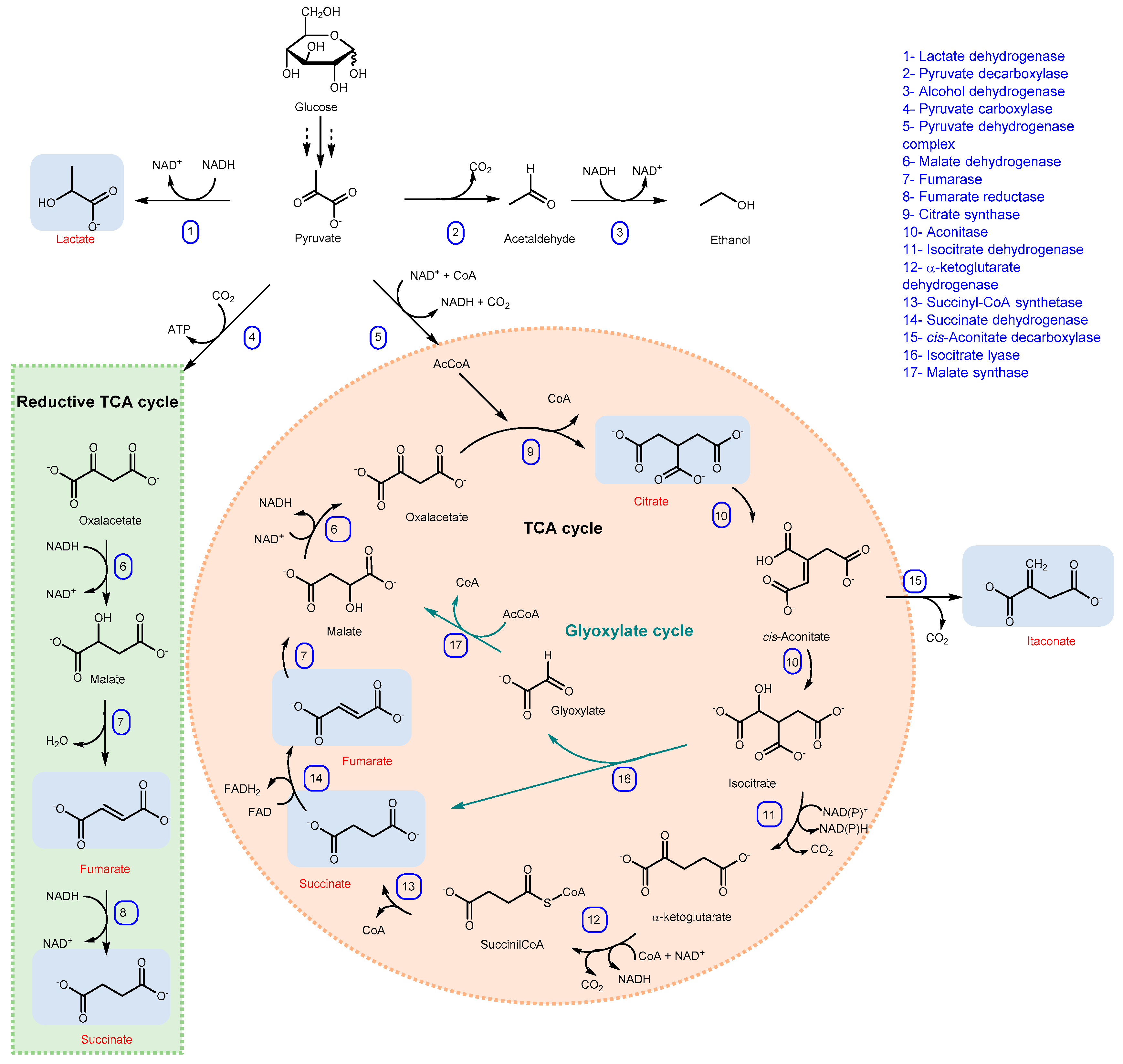 Catalysts 12 00234 sch002