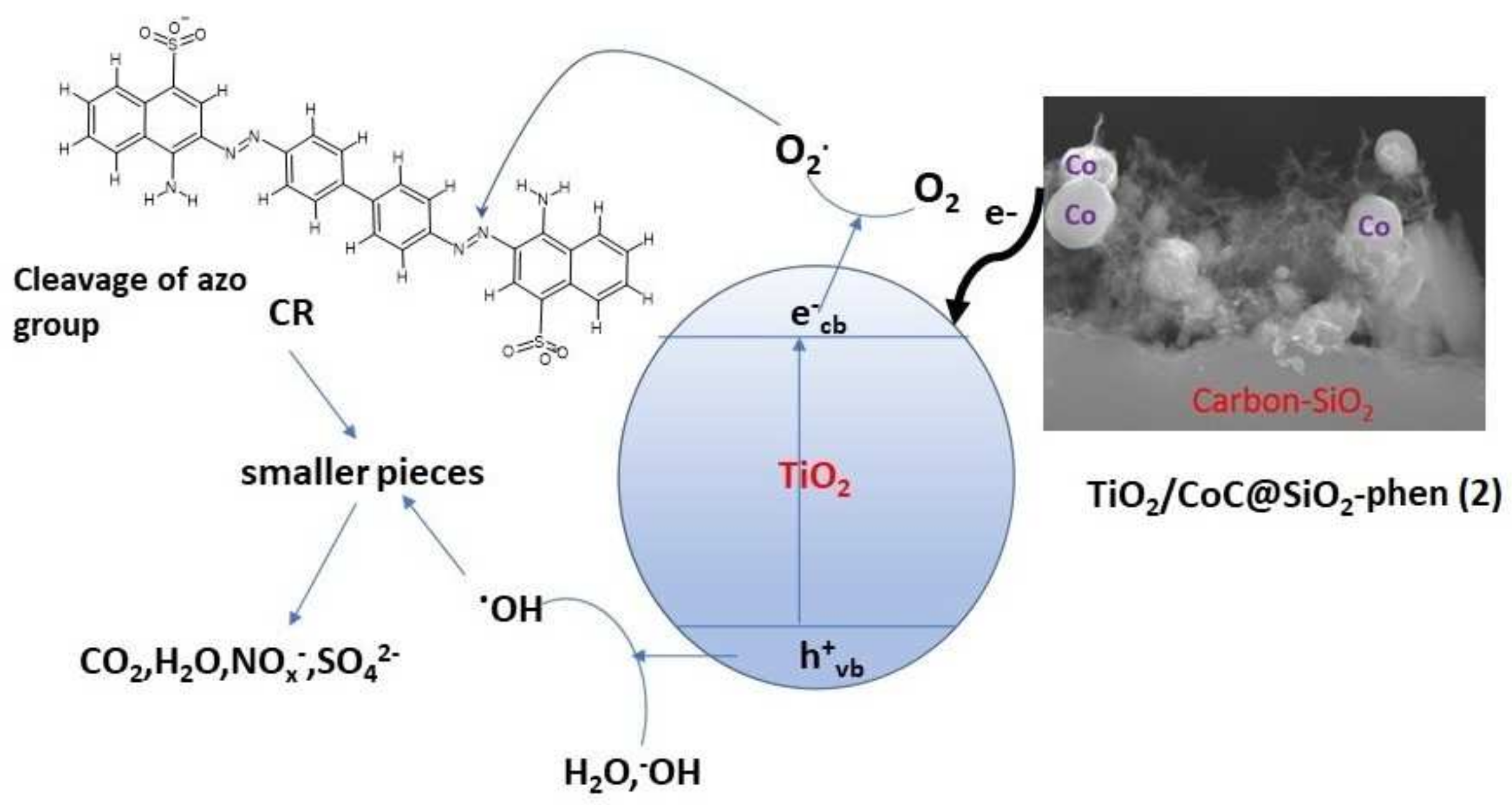 Catalysts 12 00248 g009 550