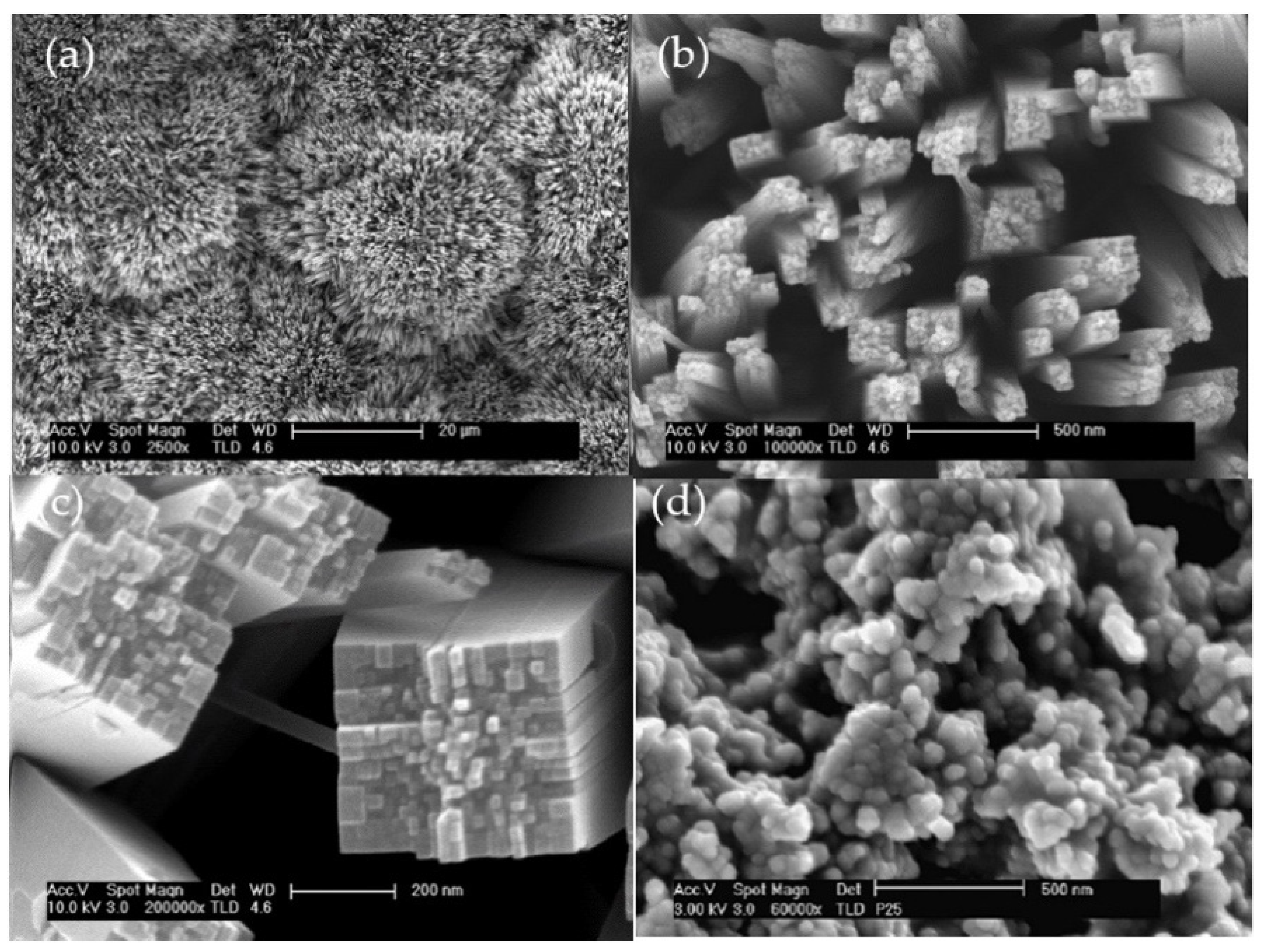 Catalysts 12 00267 g001