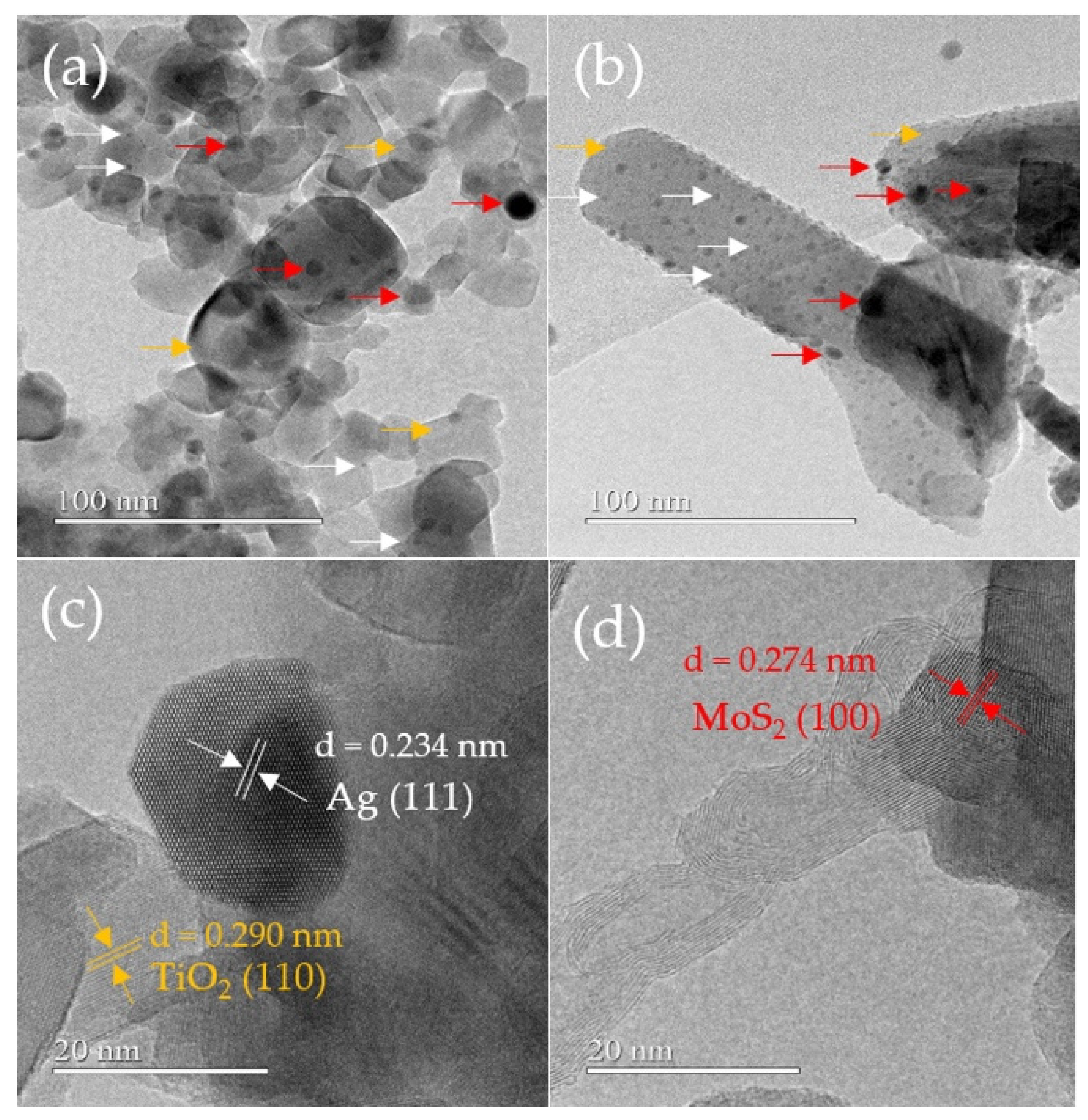 Catalysts 12 00267 g003