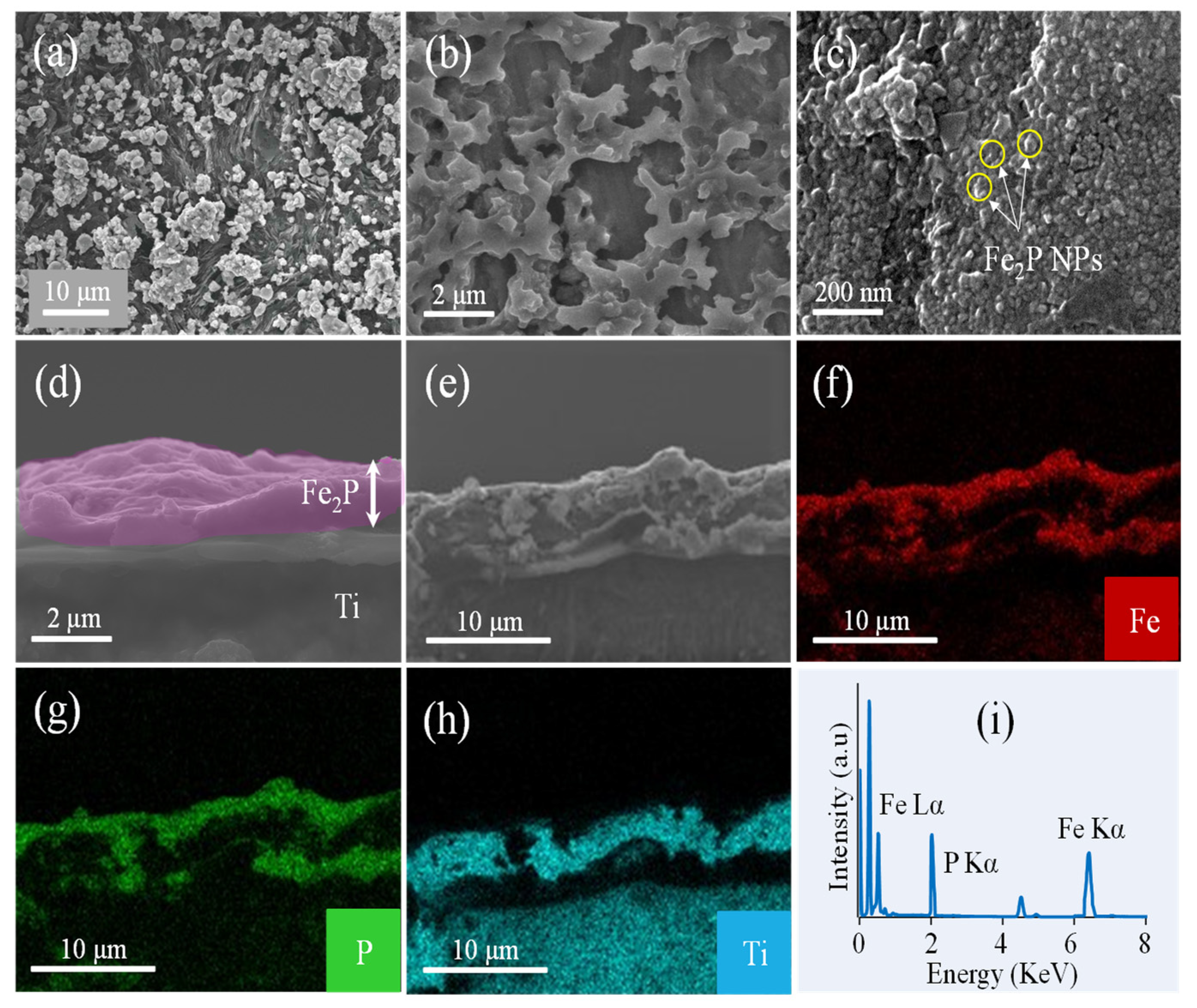 Catalysts 12 00269 g002 550