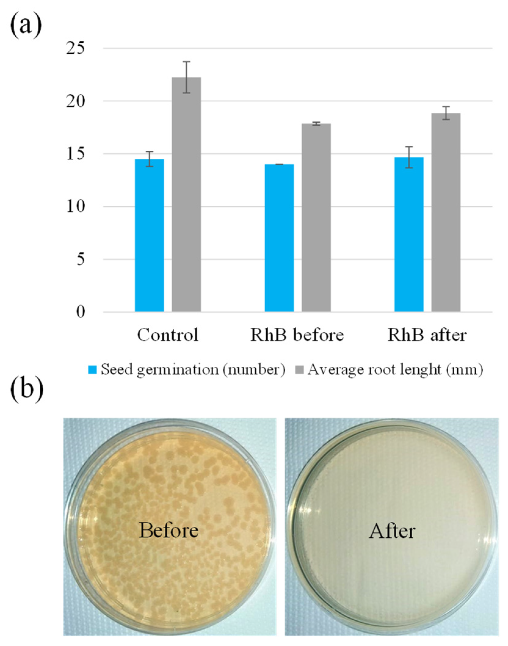 Catalysts 12 00269 g009 550