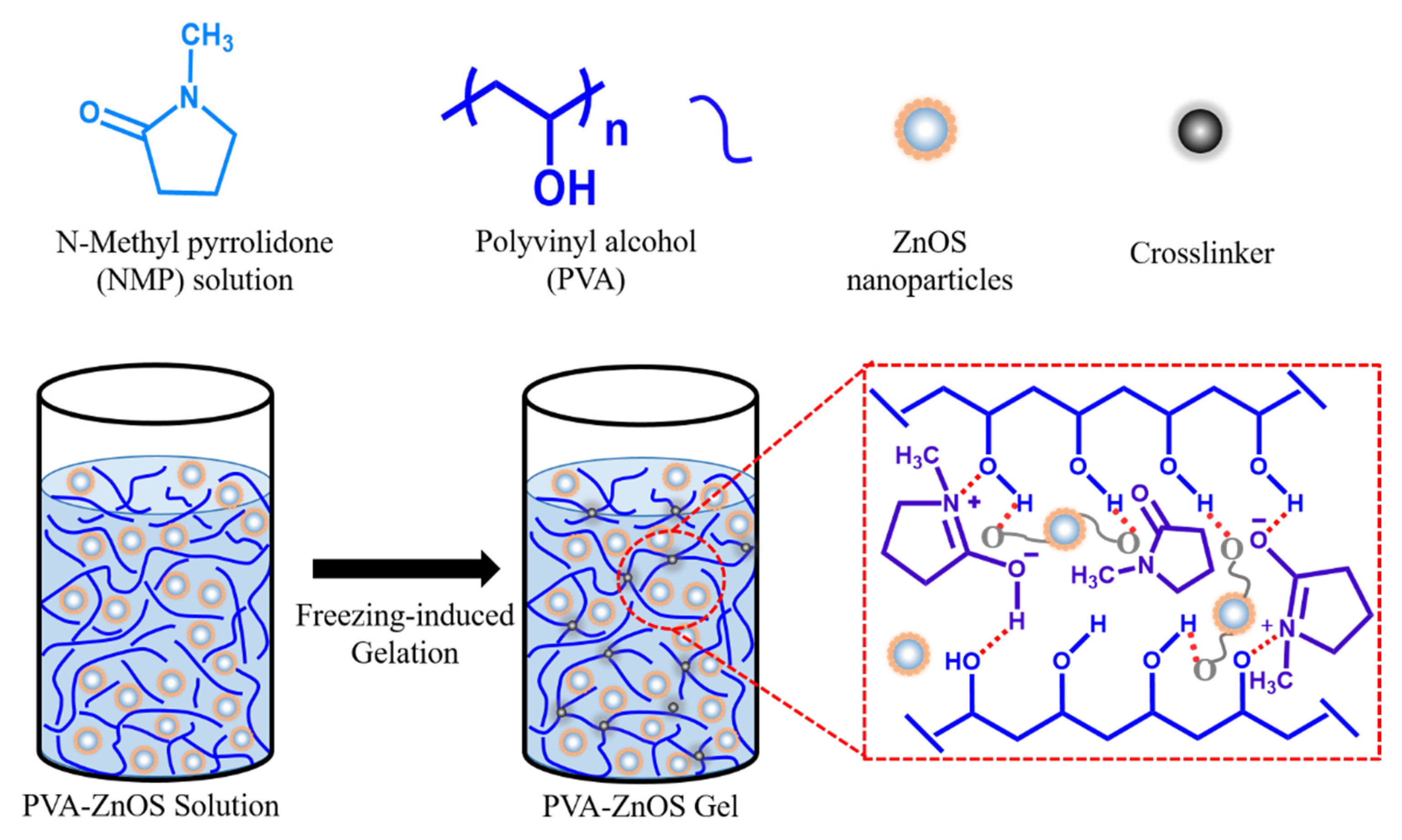 Catalysts Free FullText ZnO/ZnSPolyvinyl Alcohol Hydrogel for