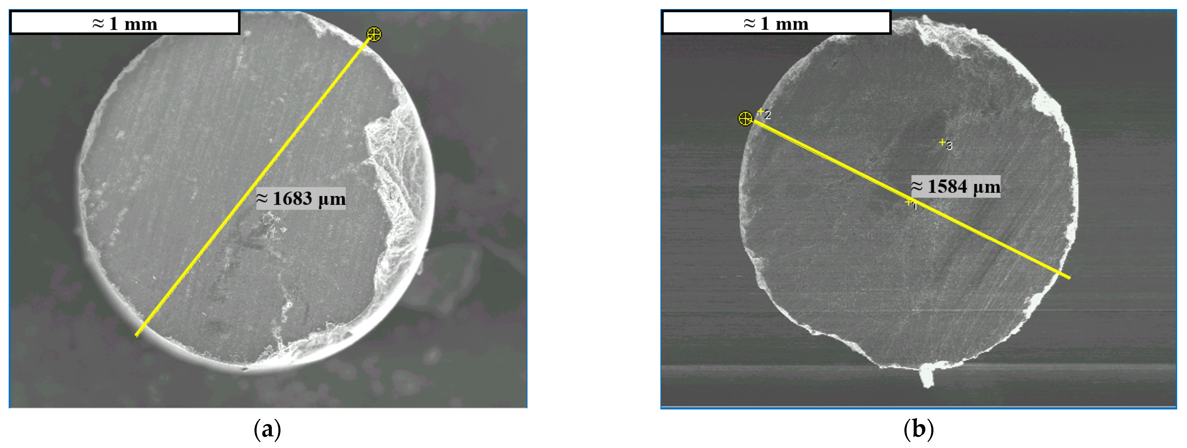 Catalysts 12 00274 g002a Catalysts 12 00274 g002a