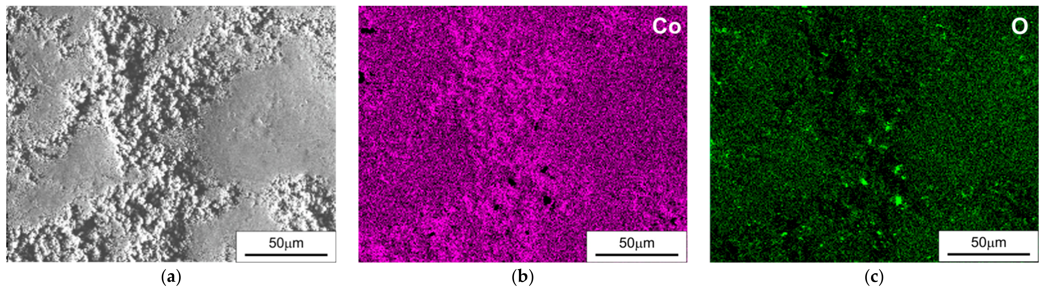 Catalysts 12 00278 g002 550