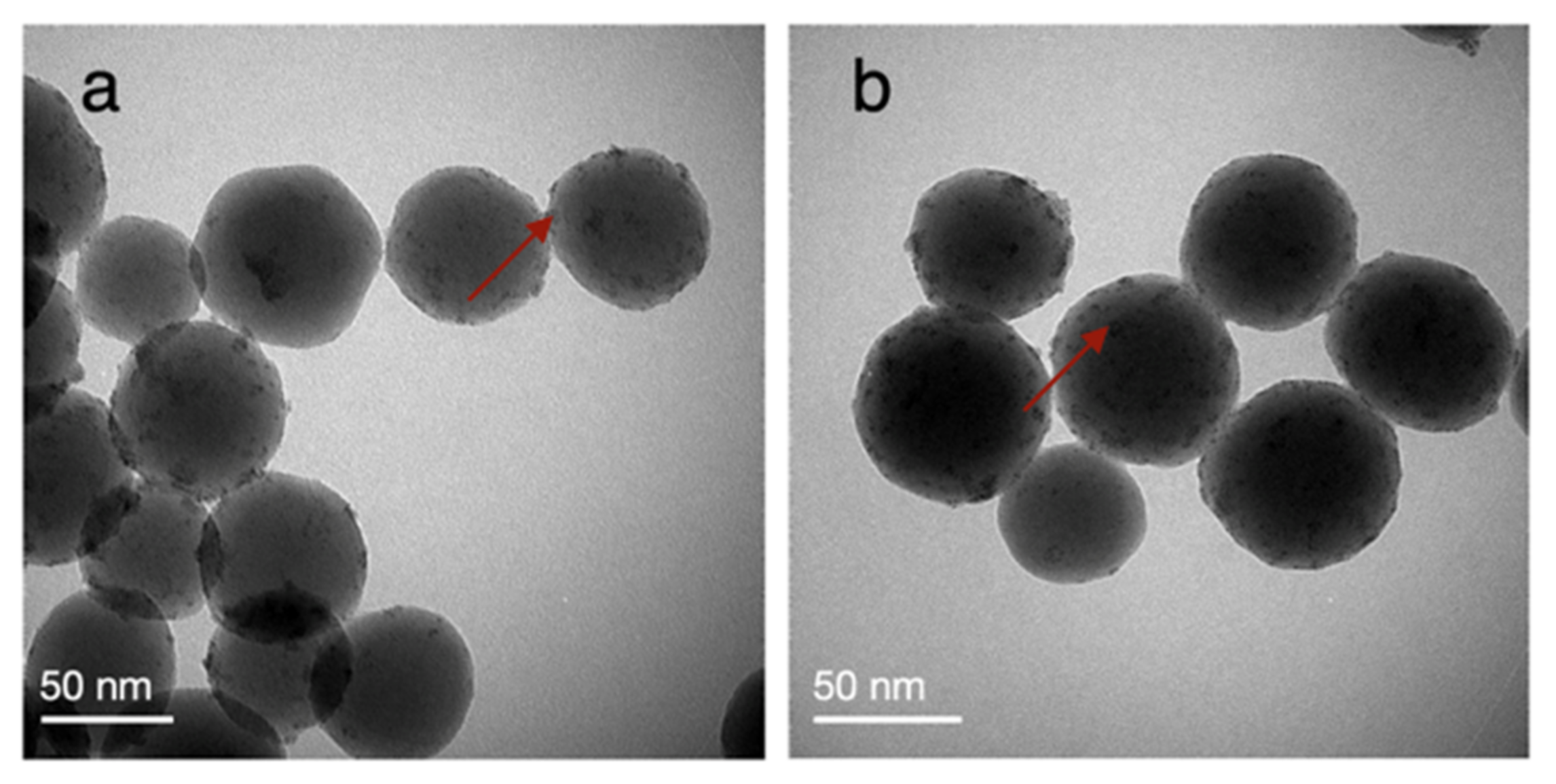 Catalysts 12 00284 g005