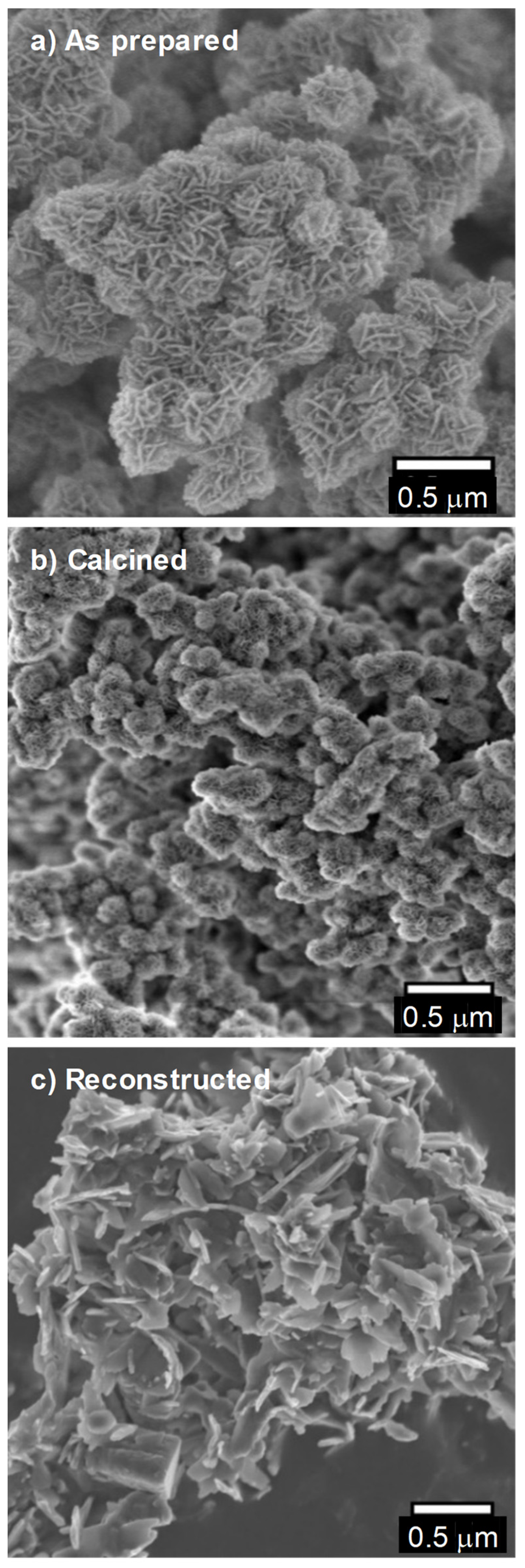 Catalysts 12 00286 g002