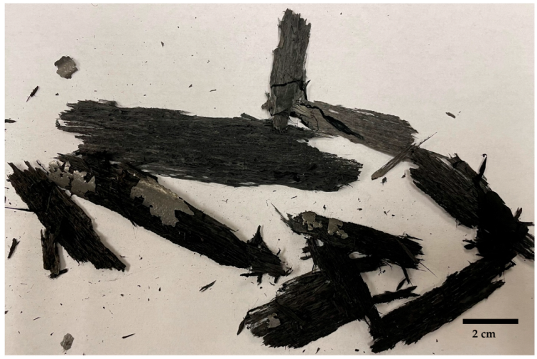 Catalysts 12 00287 g010 550