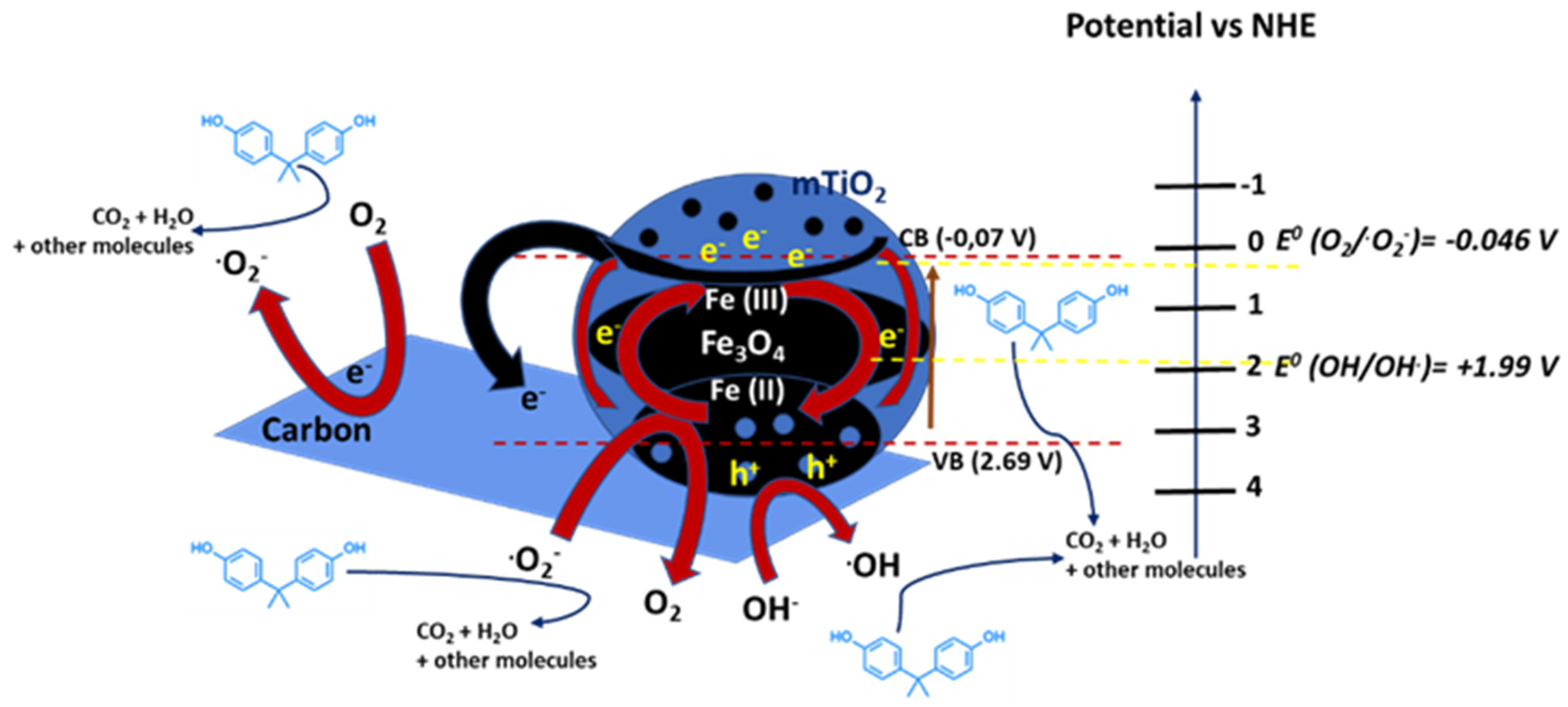 Catalysts 12 00289 g005 550