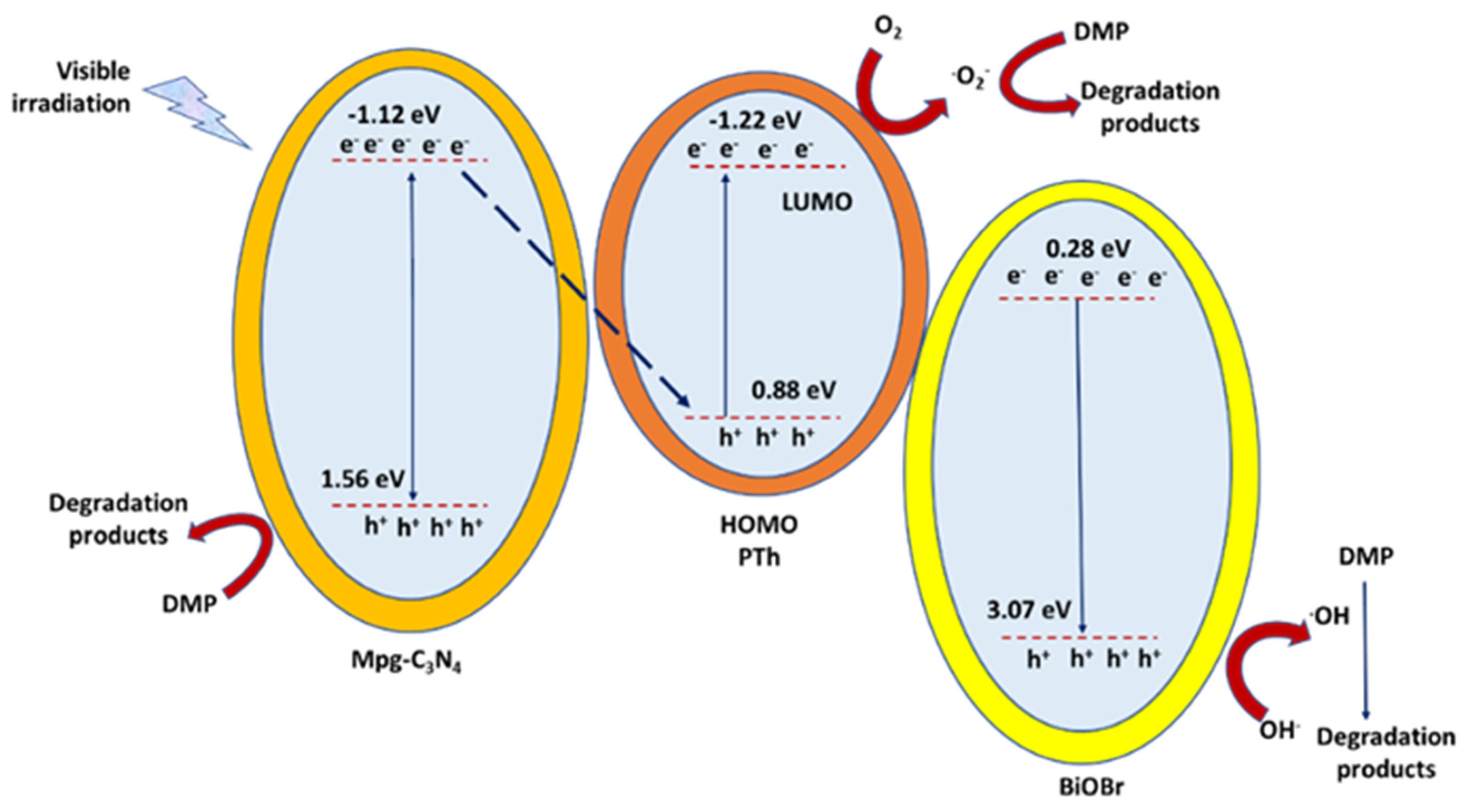 Catalysts 12 00289 g008 550